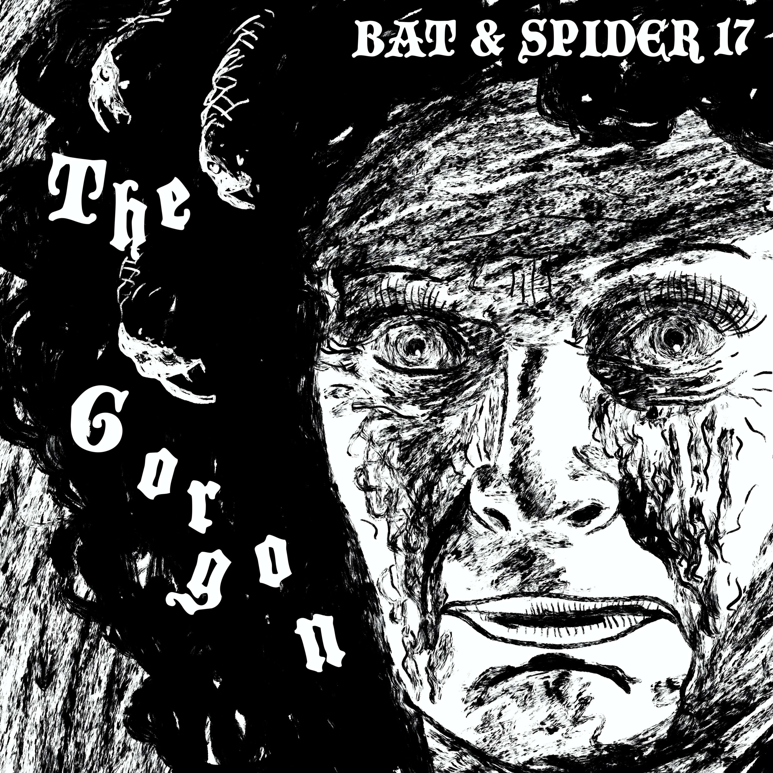 BAT AND SPIDER