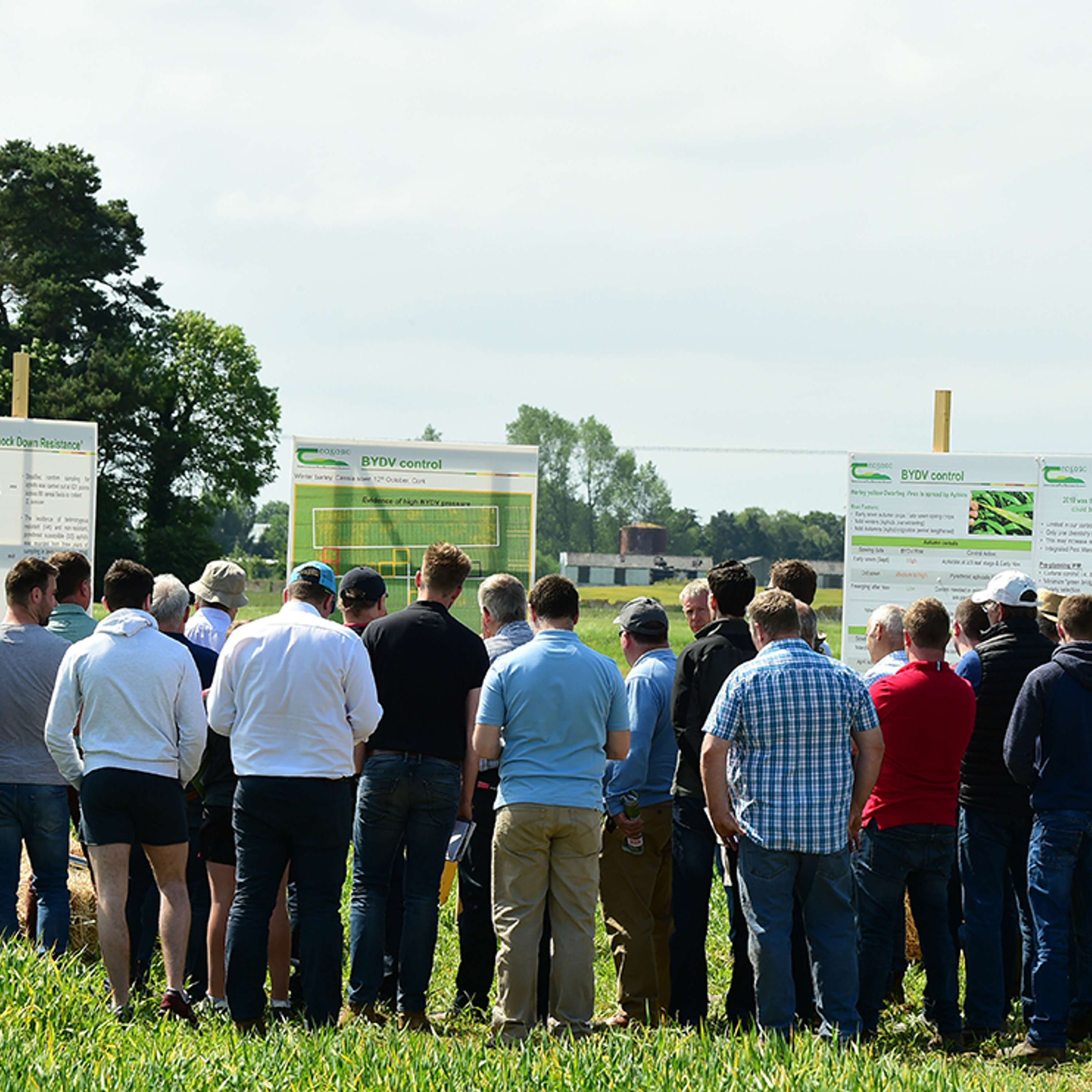 The Tillage Edge