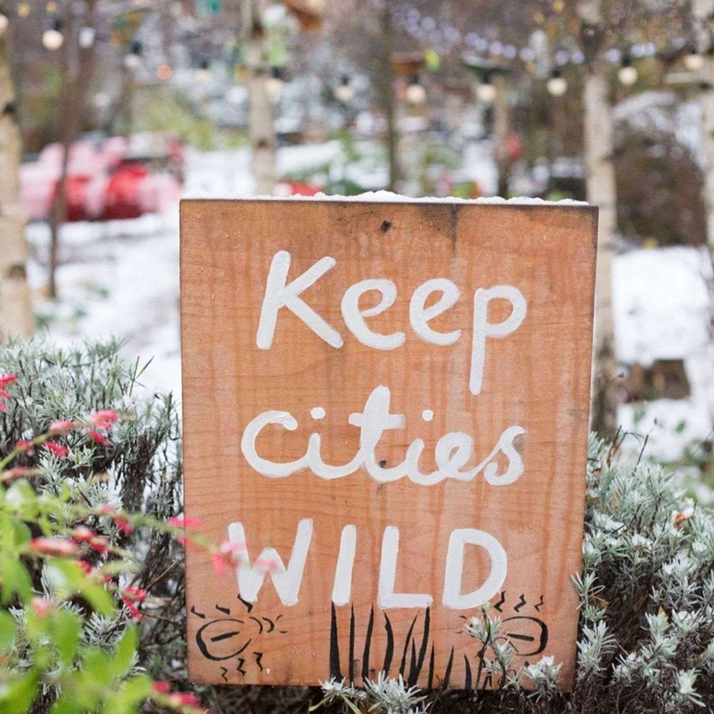 Live from the Curve Garden: Love + Romance