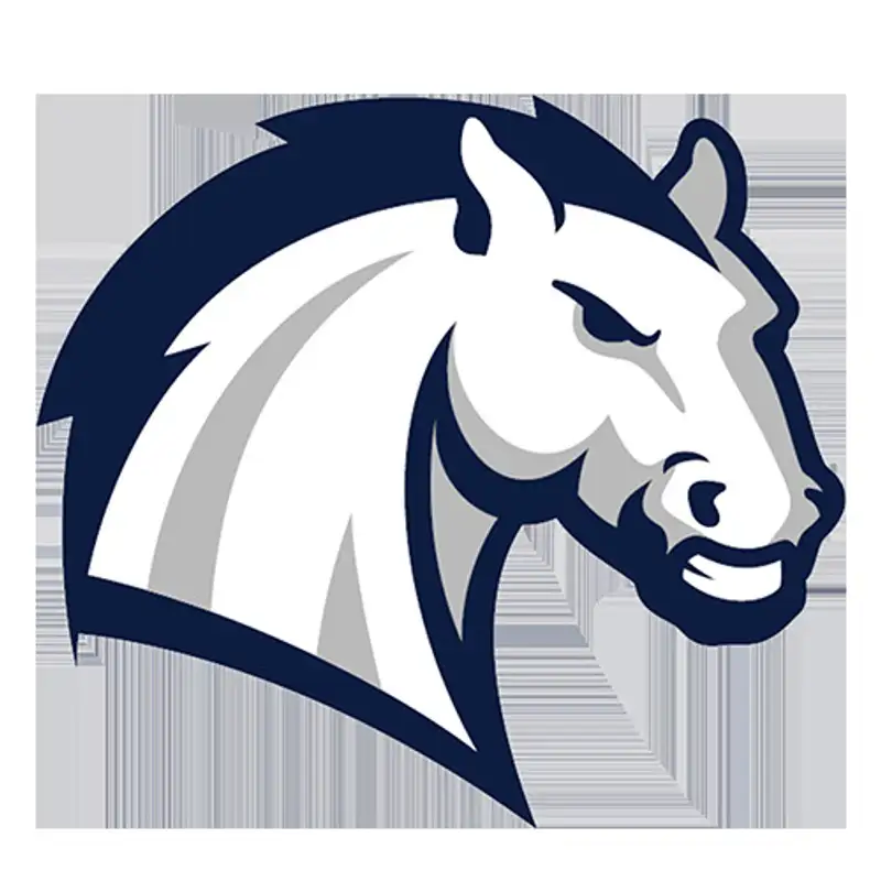 Women's Basketball: Hillsdale vs. Walsh, 02/09/23
