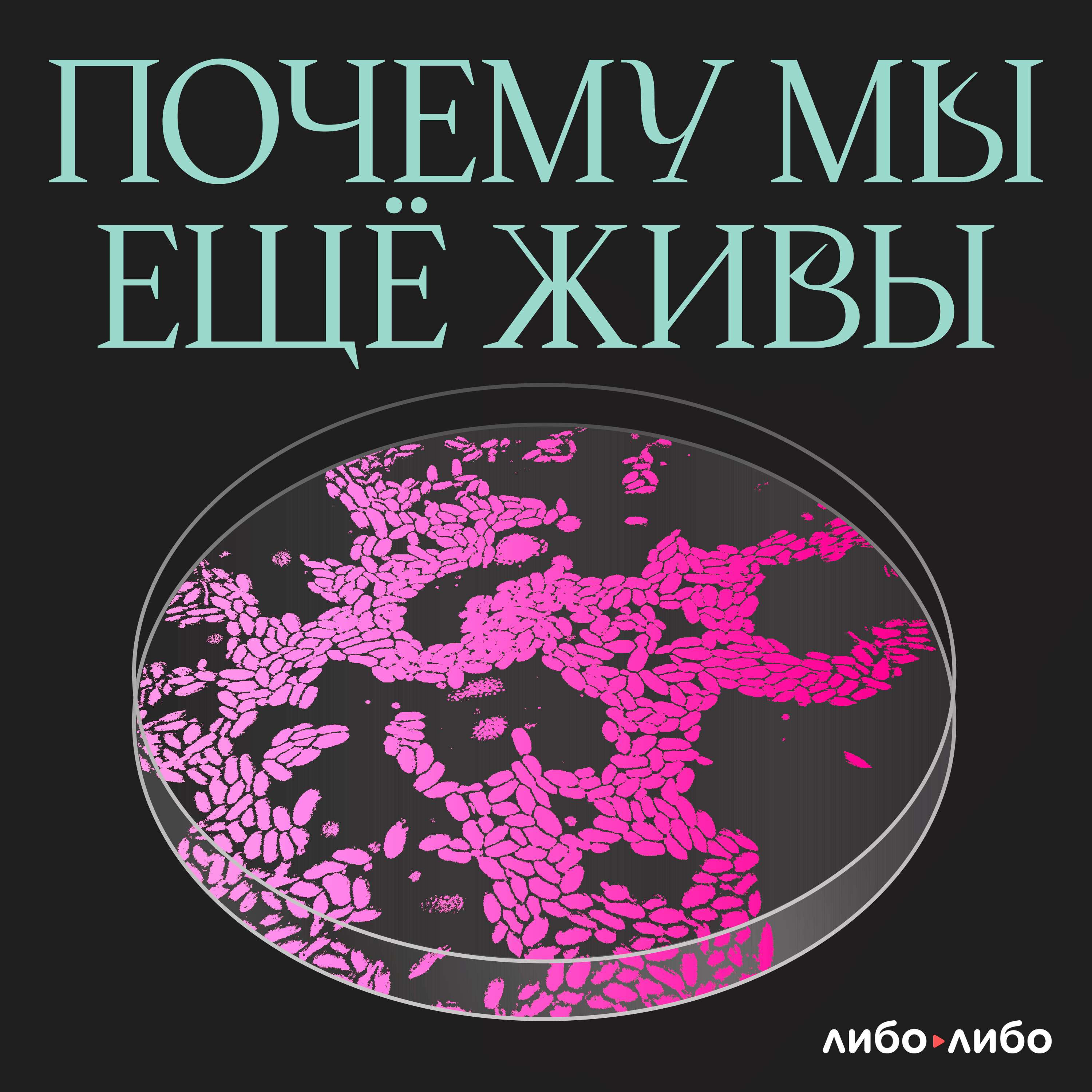 Я все вижу: как мы научились пересаживать искусственный хрусталик глаза - podcast episode cover