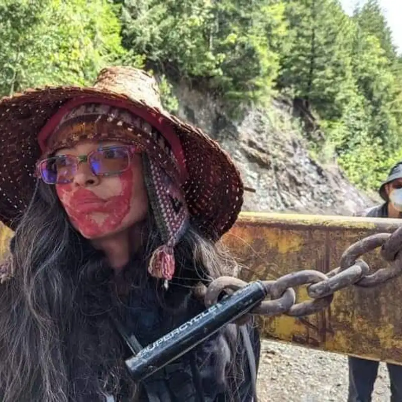 Green Party Indigenous affairs critic guilty of contempt of court