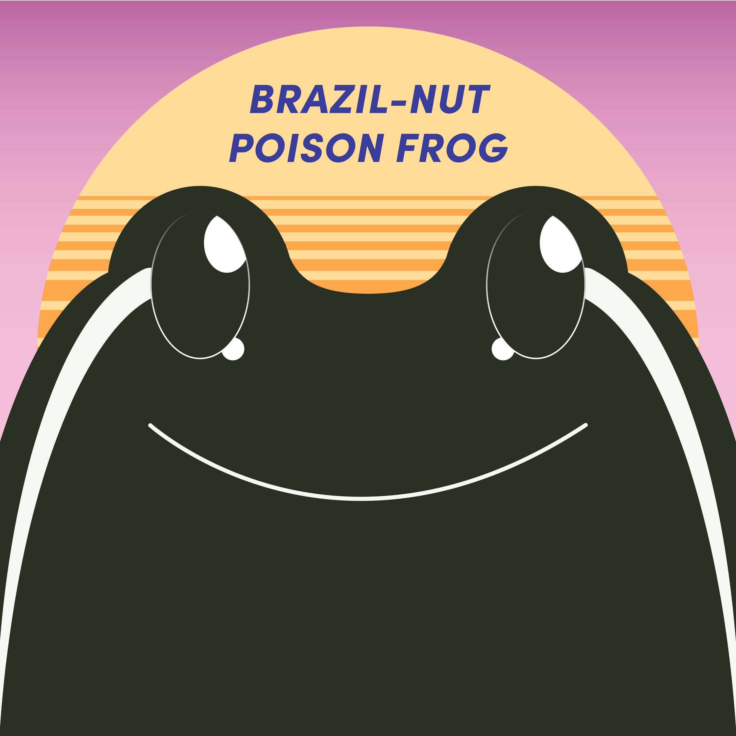 Brazil Nut Poison Frog | Week of Dartch 20th