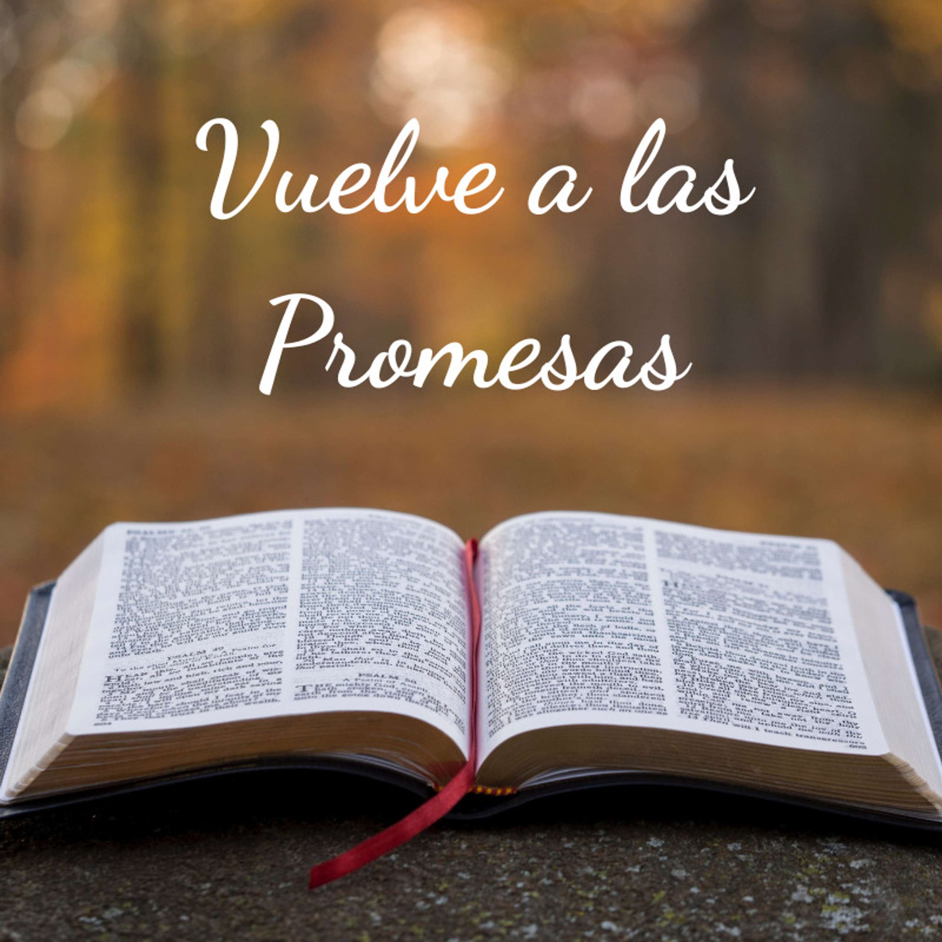 Vuelve a las Promesas ( Pastor Andrés Mejía )