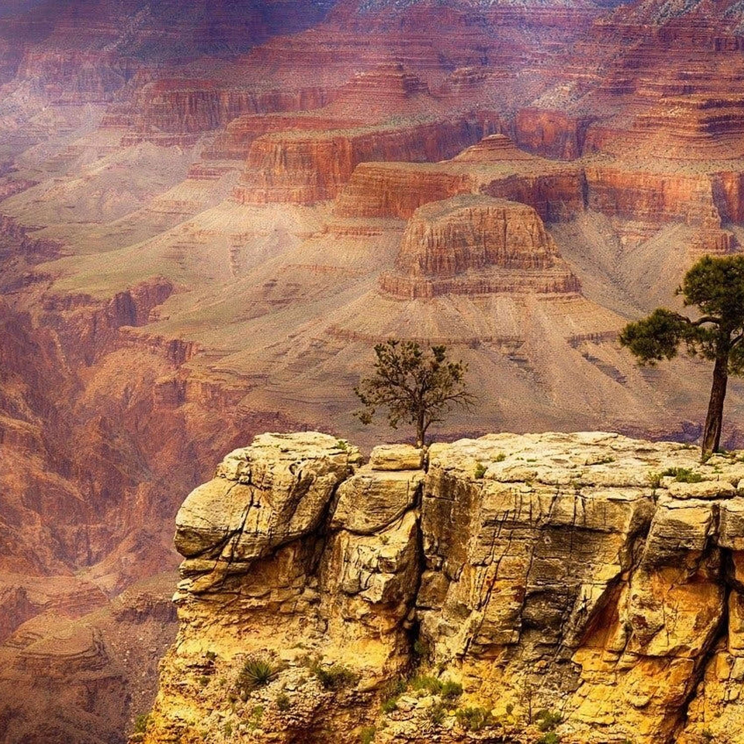 Nature and Science 4 Kids