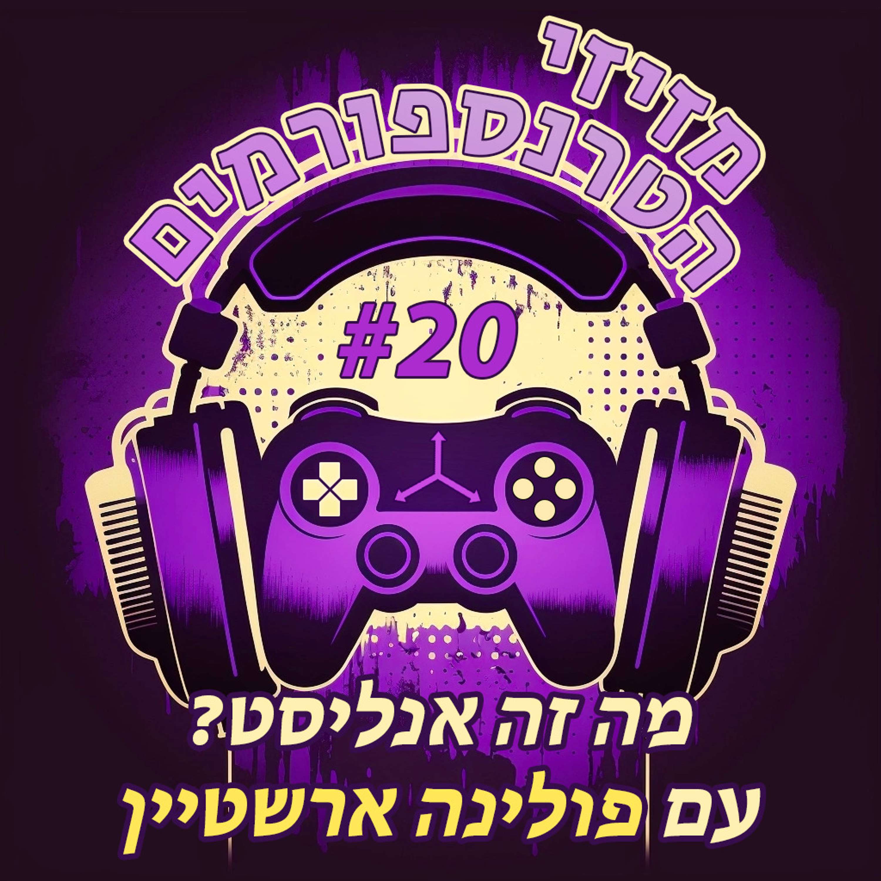 מזיזי הטרנספורמים