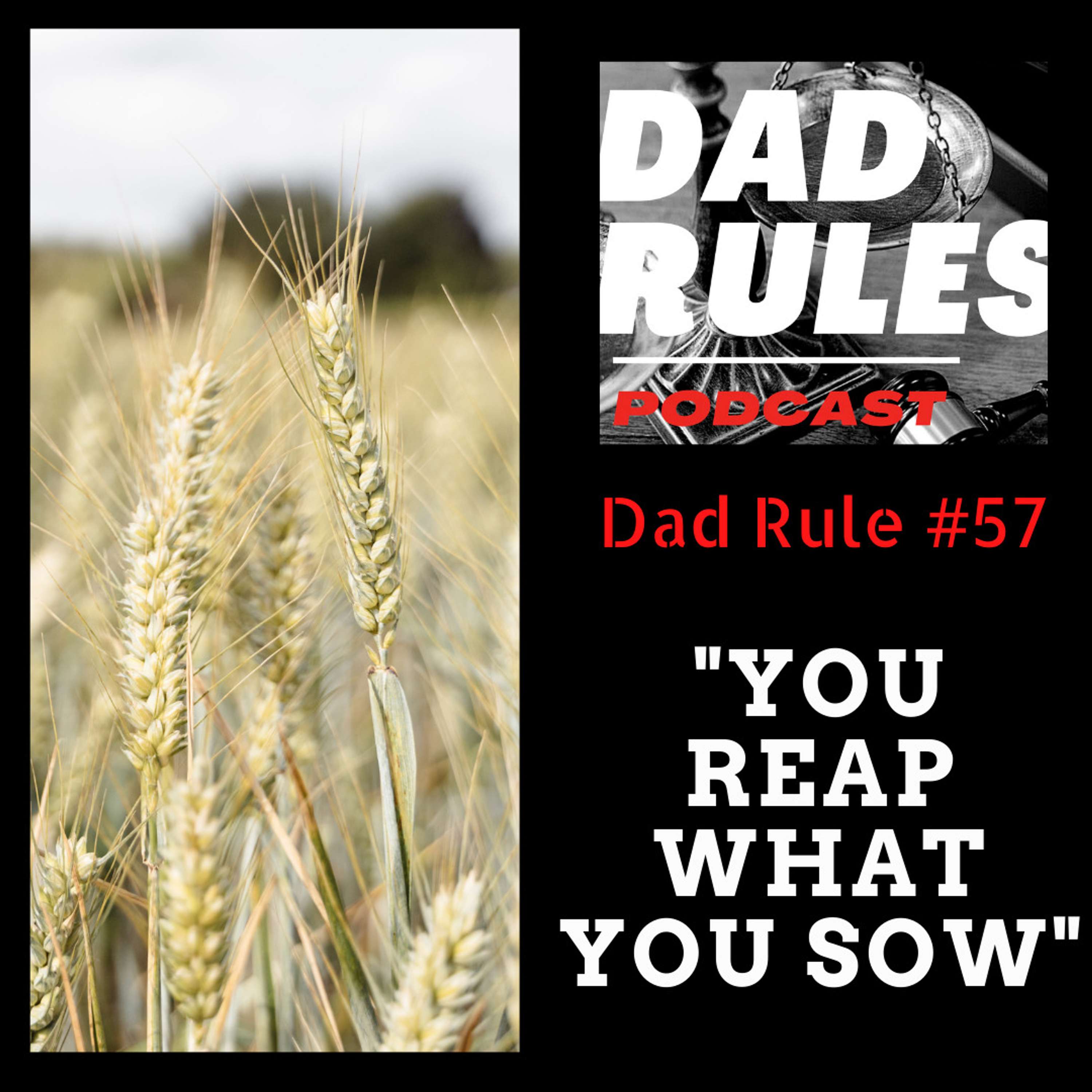 The Dad Rules Podcast