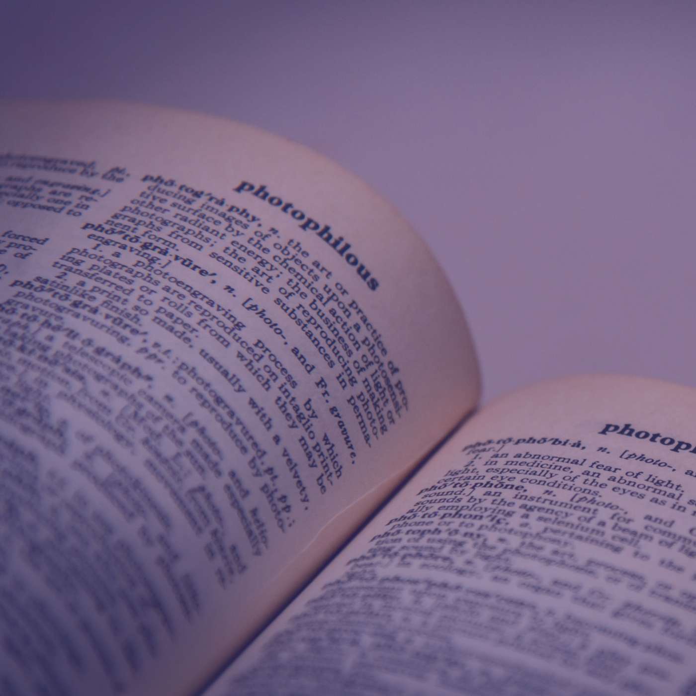 English Learning for Curious Minds