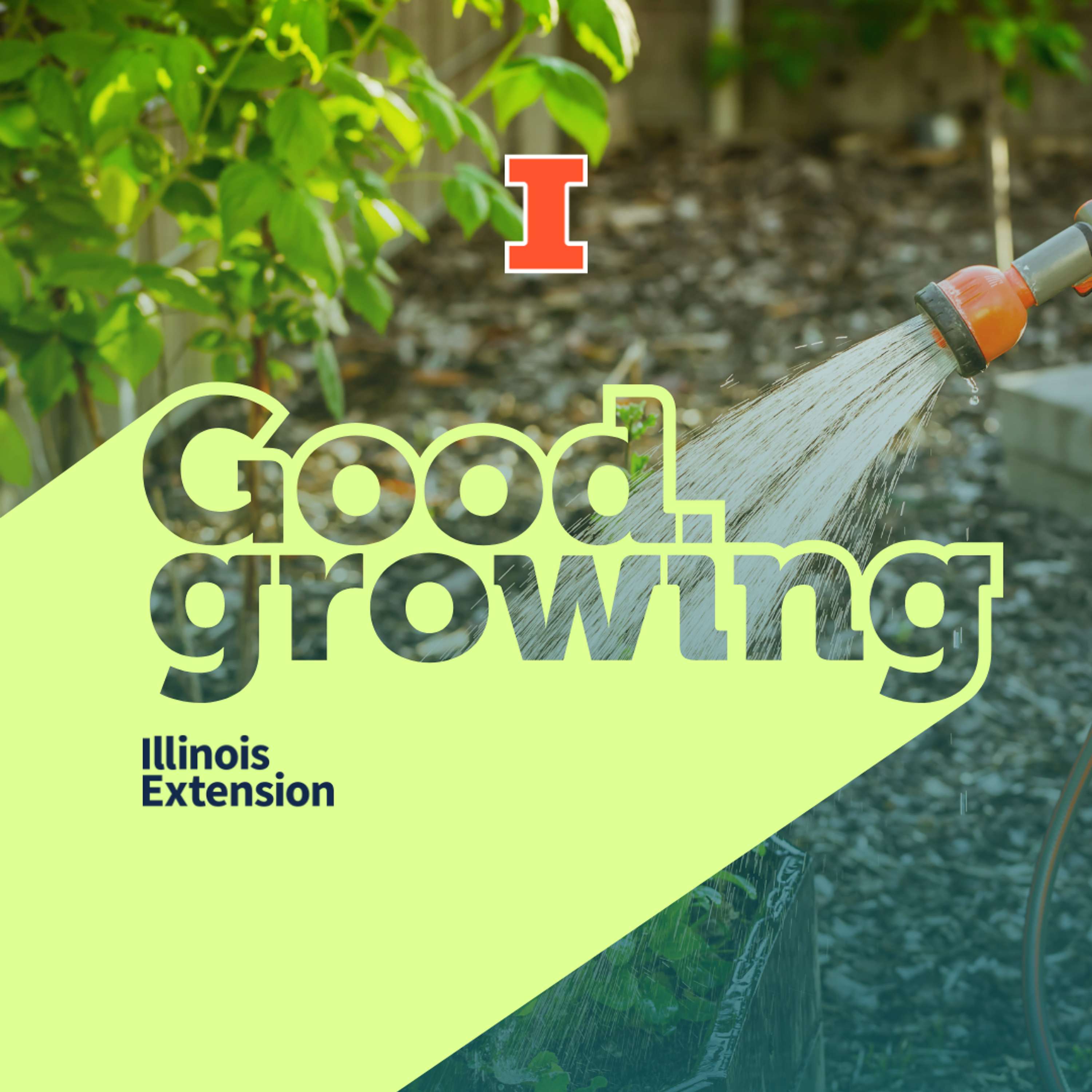 Ep. 177 Getting your garden ready for vacation | #GoodGrowing