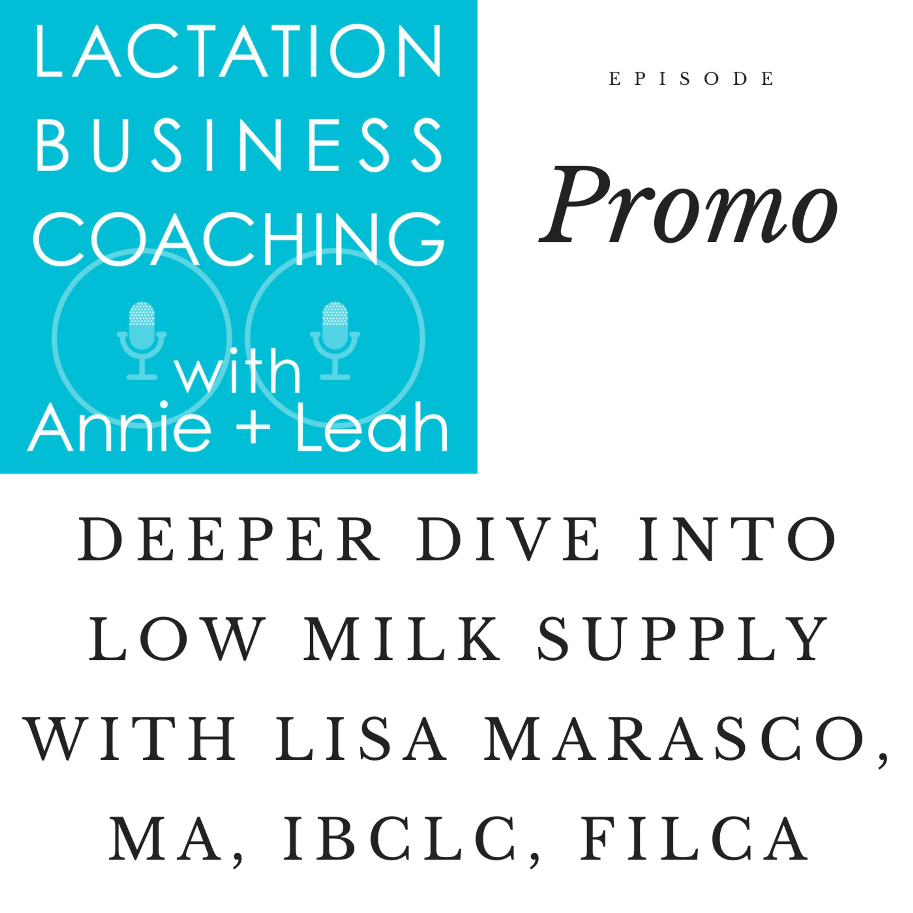 Lactation Business Coaching with Annie and Leah