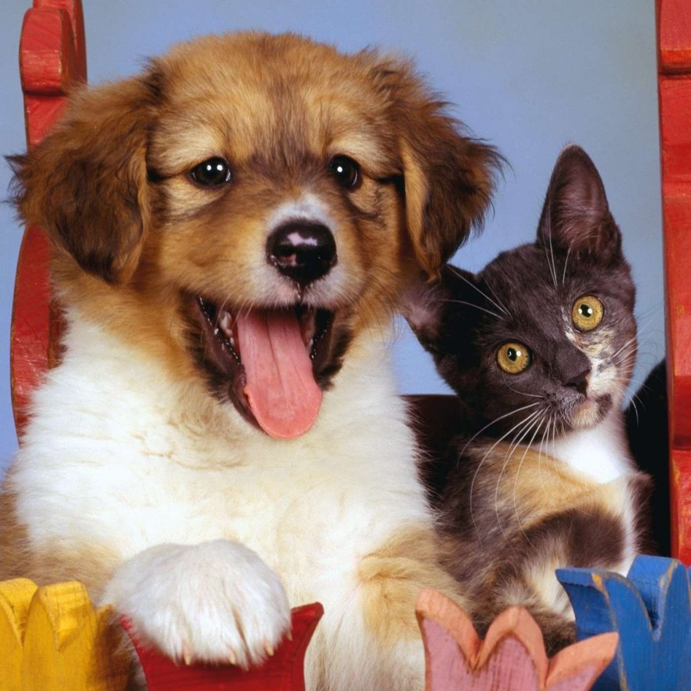 E50: the preferred level of abstraction (a nugget) E50: the preferred level of abstraction (a nugget)