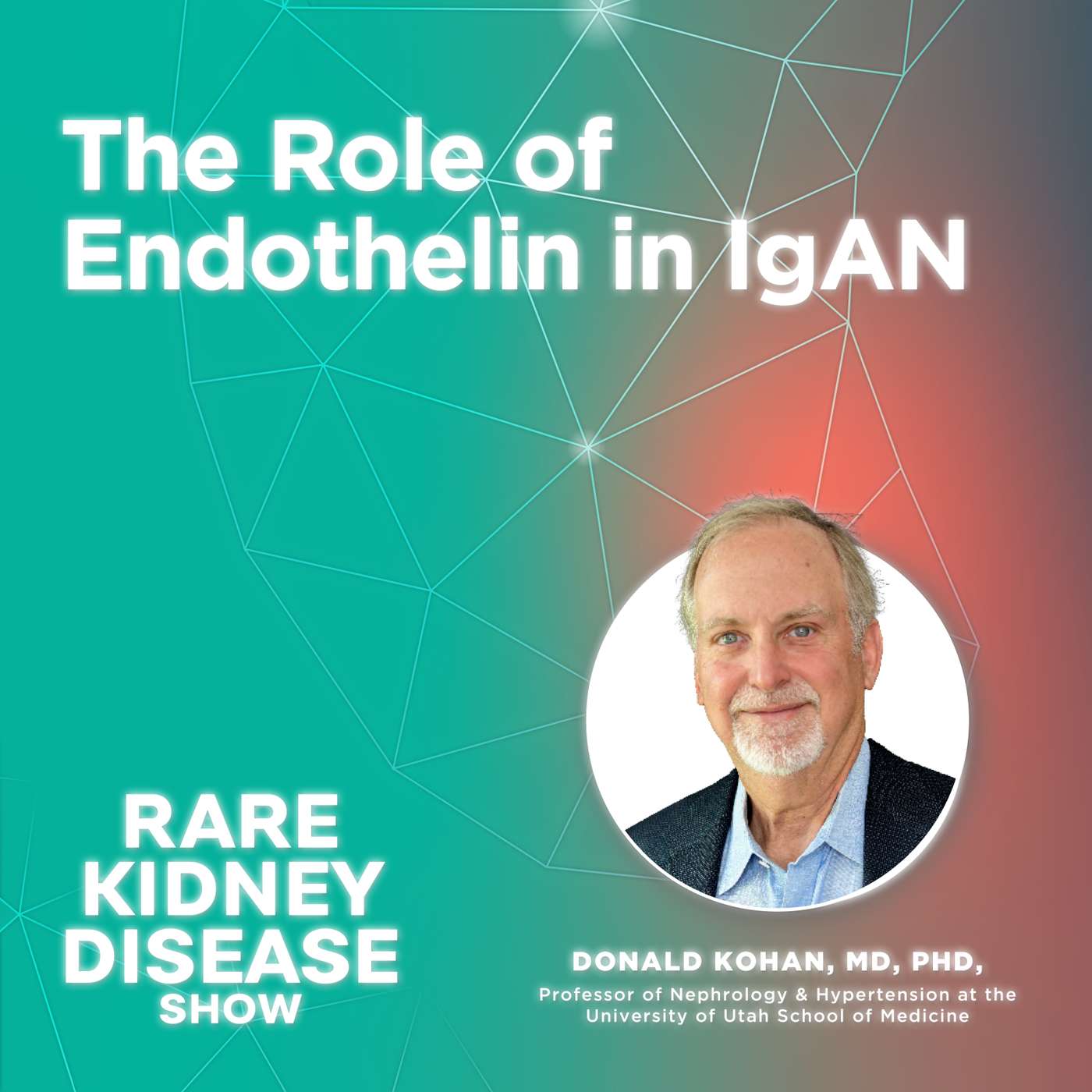 The Role of Endothelin in IgAN, ft. Dr. Donald Kohan : 3