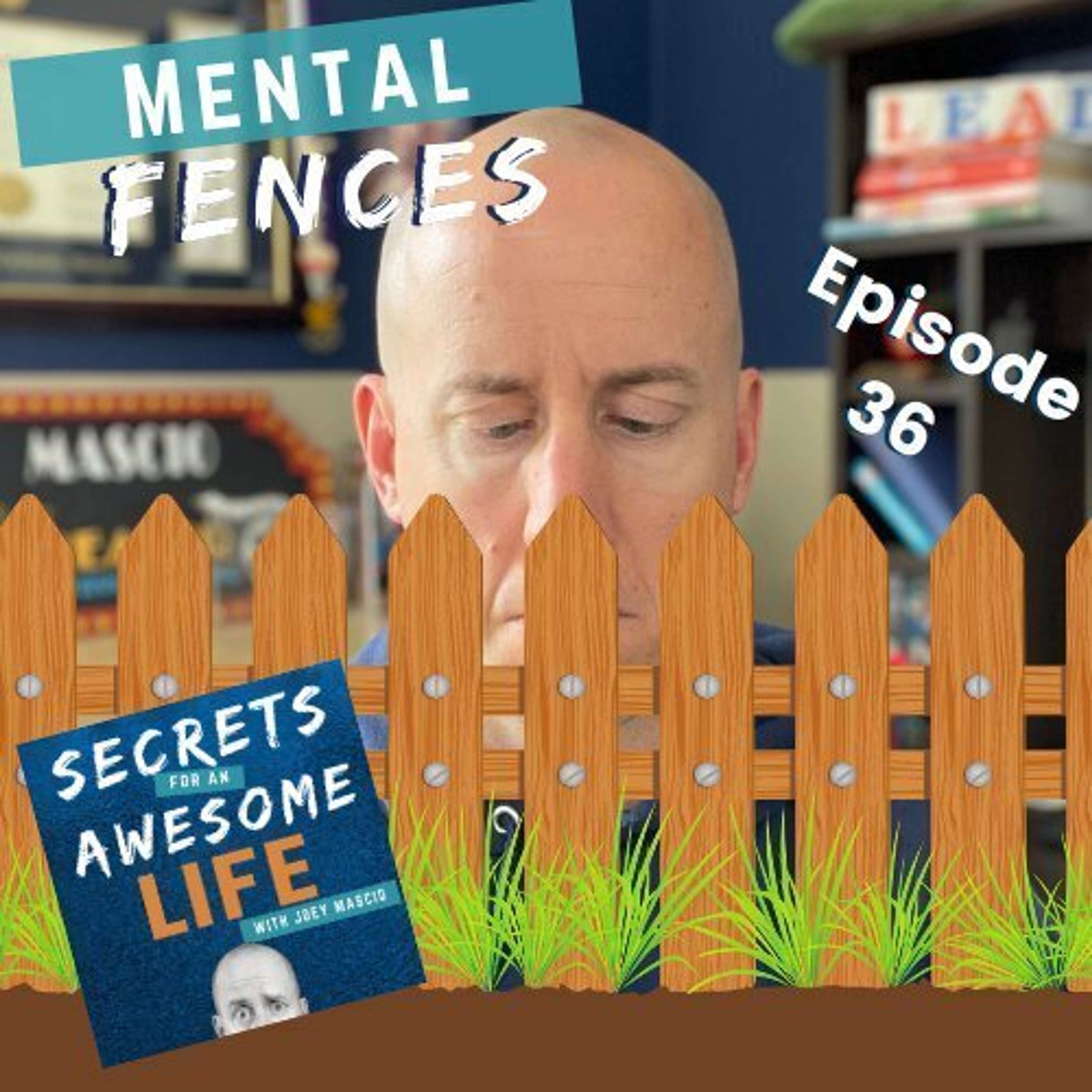 cover of episode Mental Fences