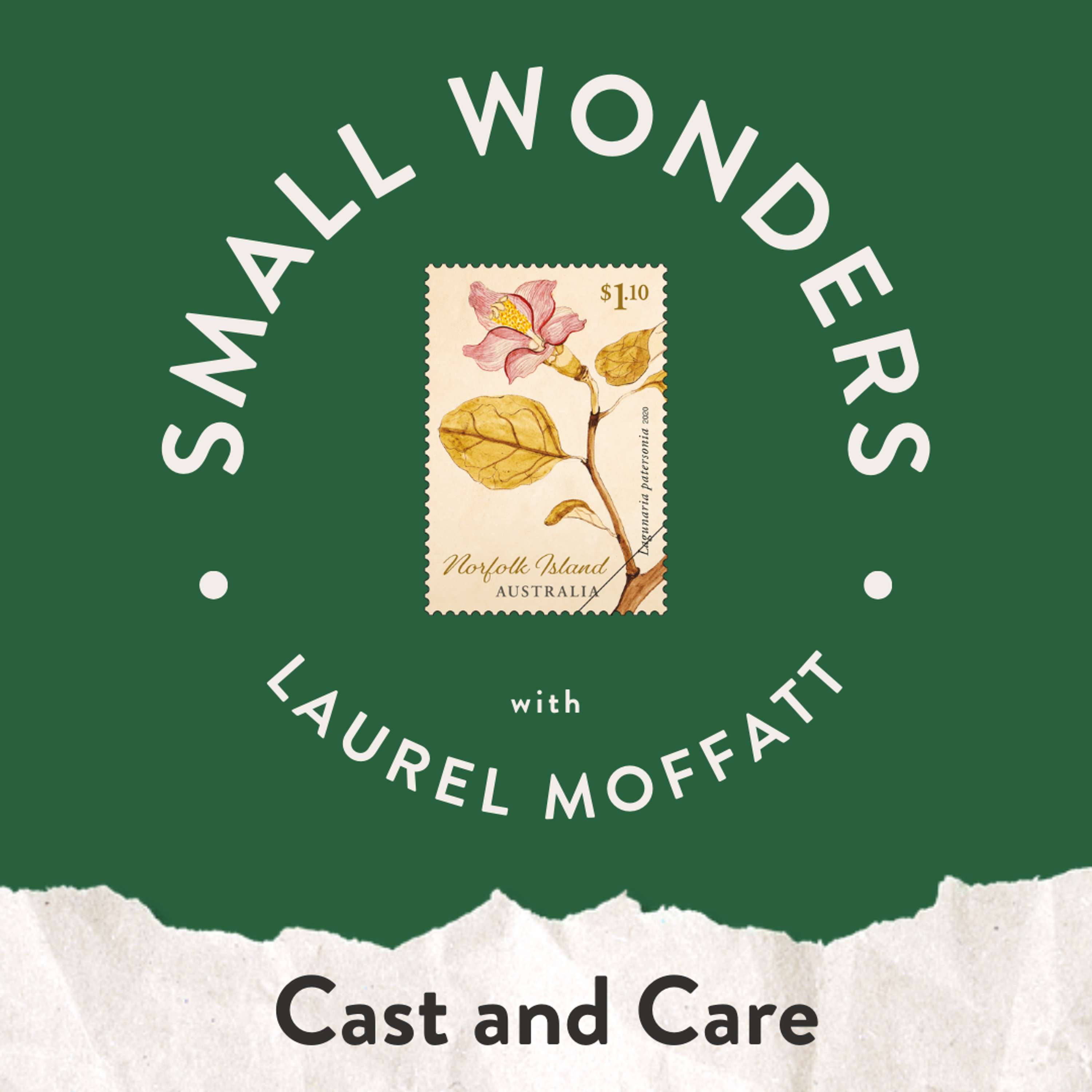 Small Wonders