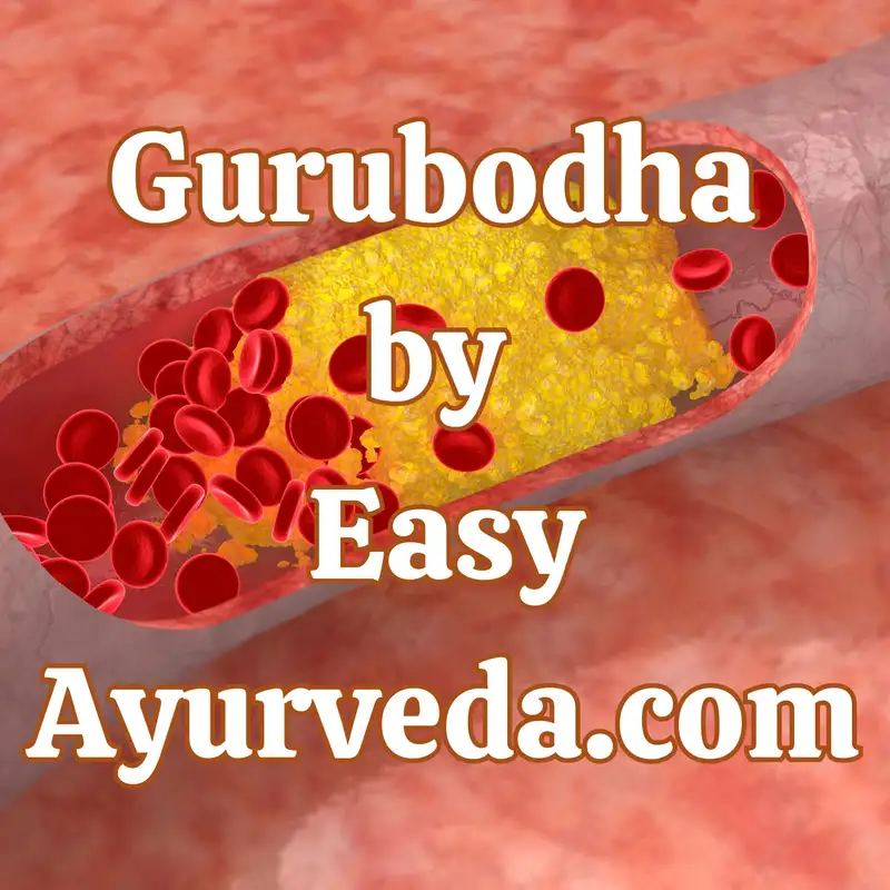 Gurubodha 104: Ayurveda management of high cholesterol levels | Virechana in high Cholesterol levels