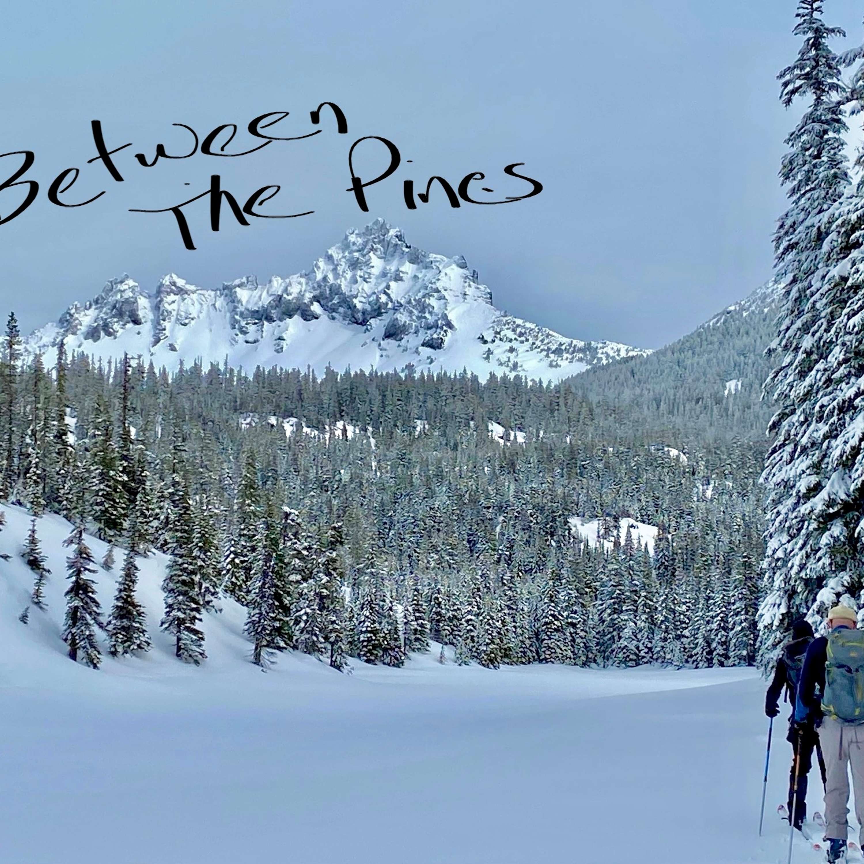 Between The Pines