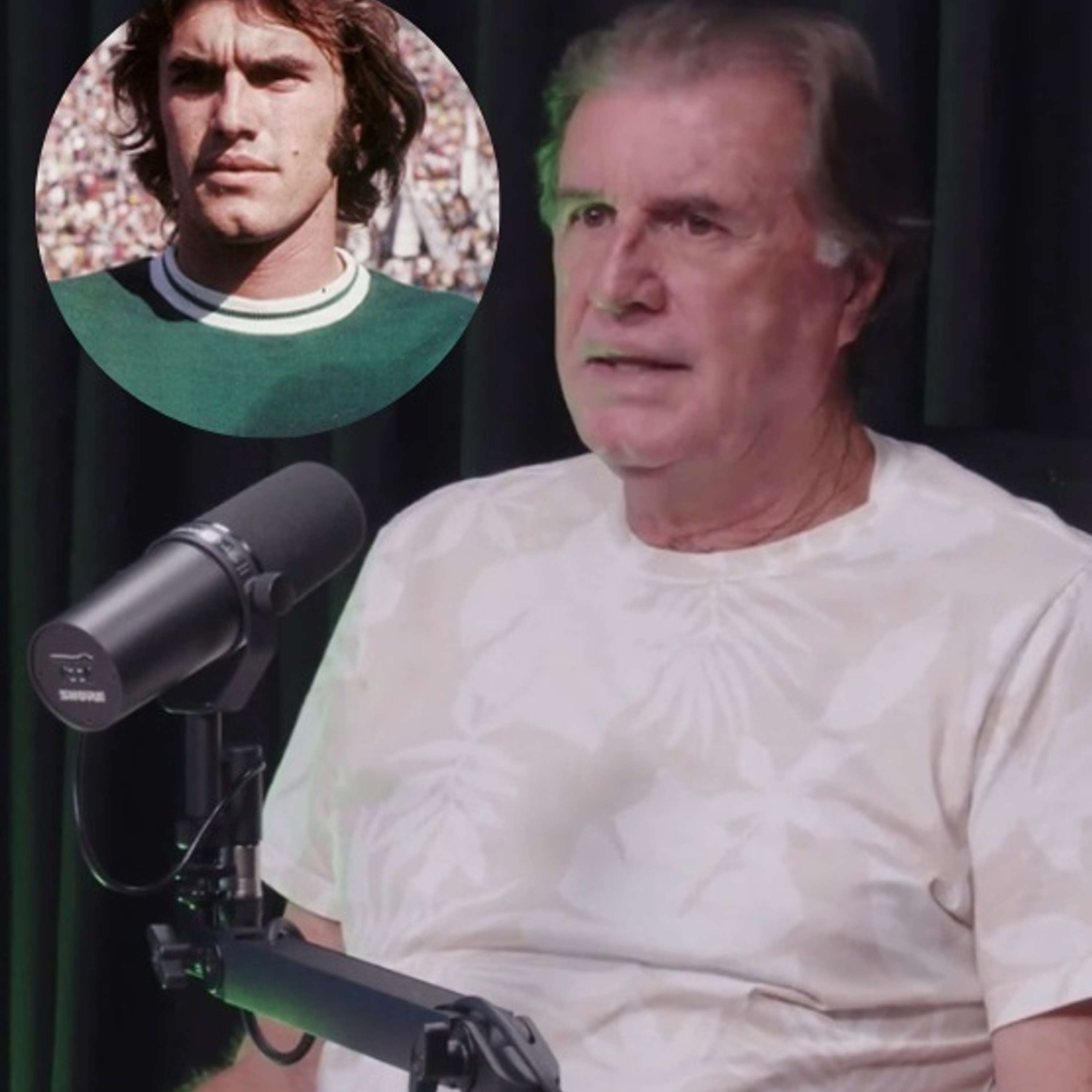 Parlando de Palmeiras
