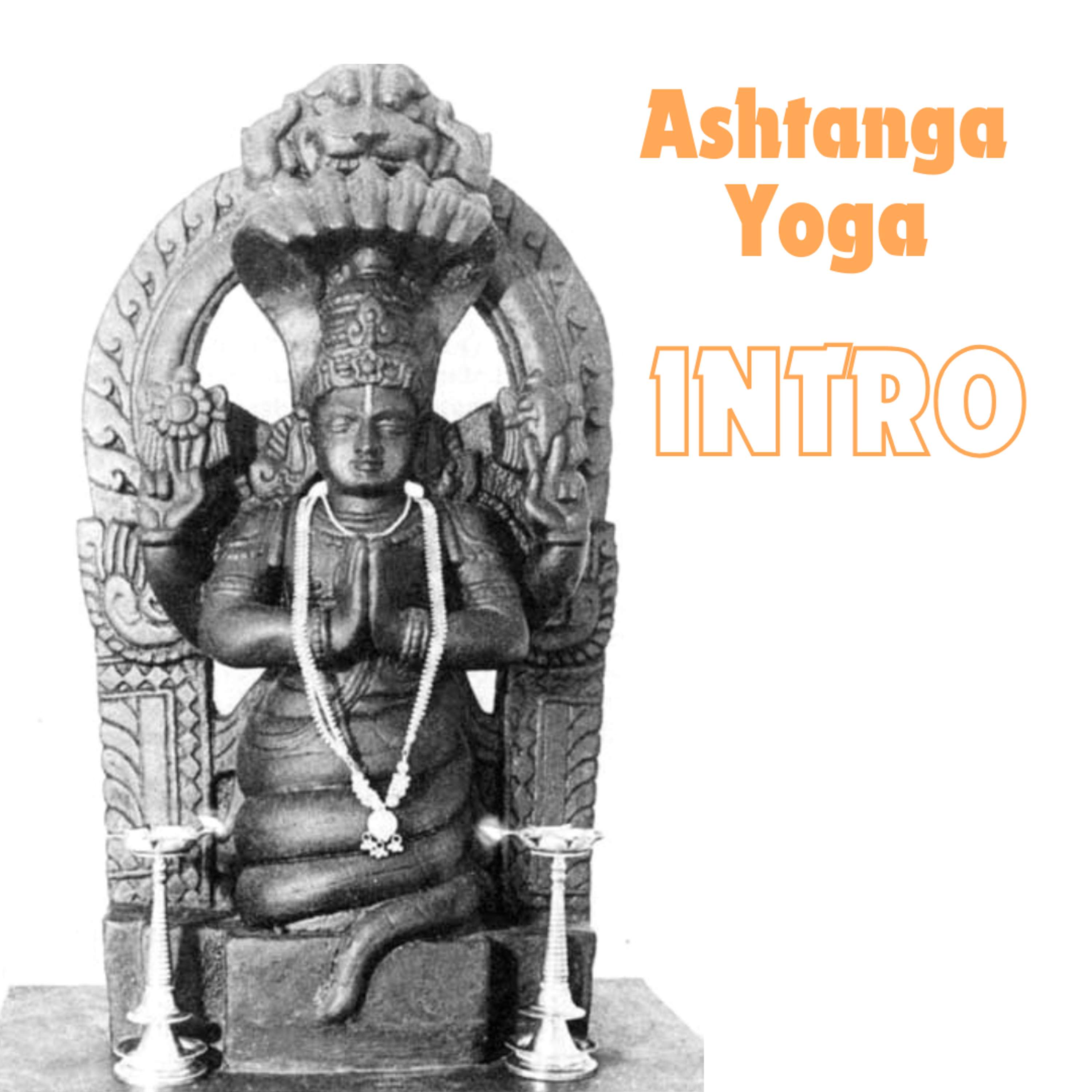 Yoga Connection With Zorananda