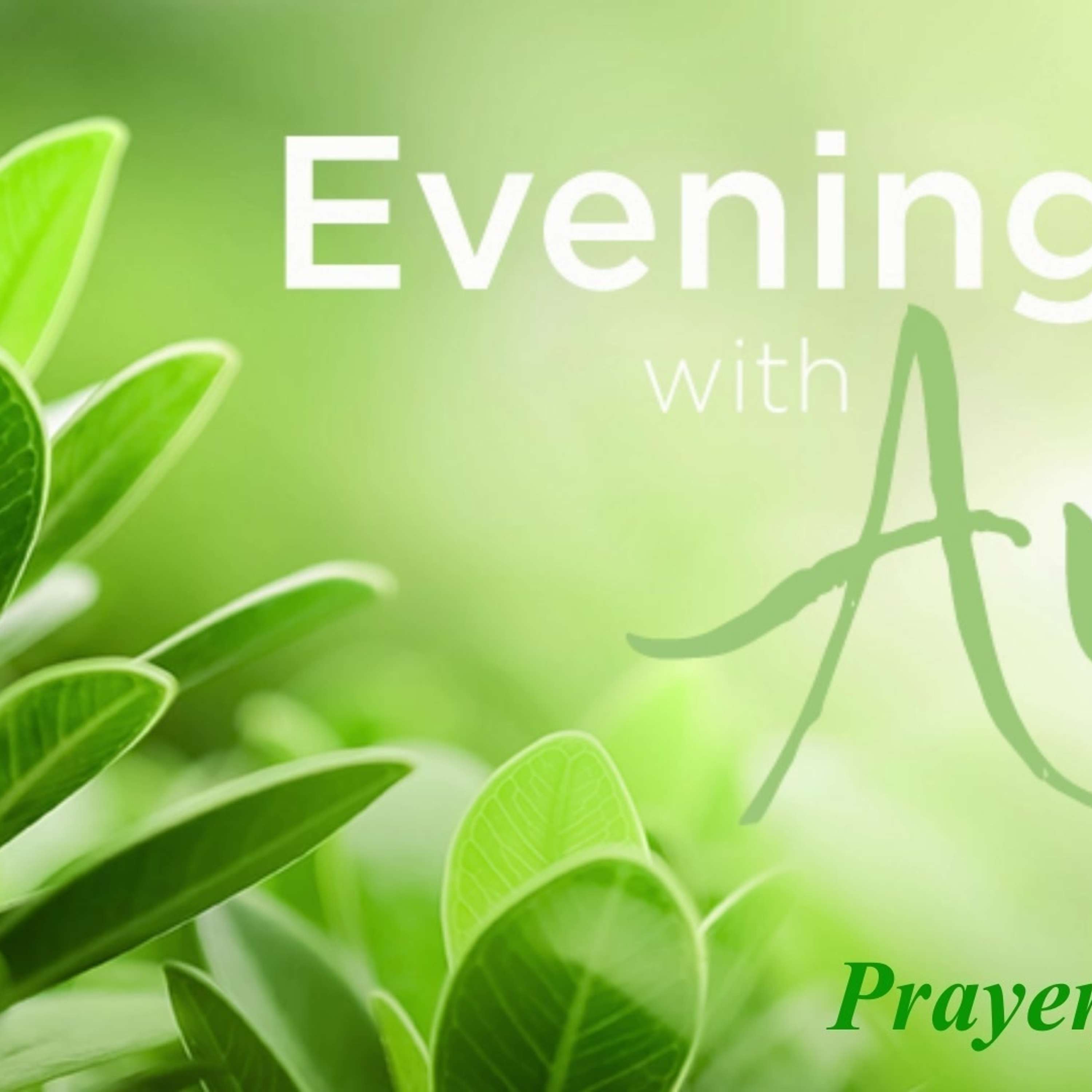 Evenings with Ann