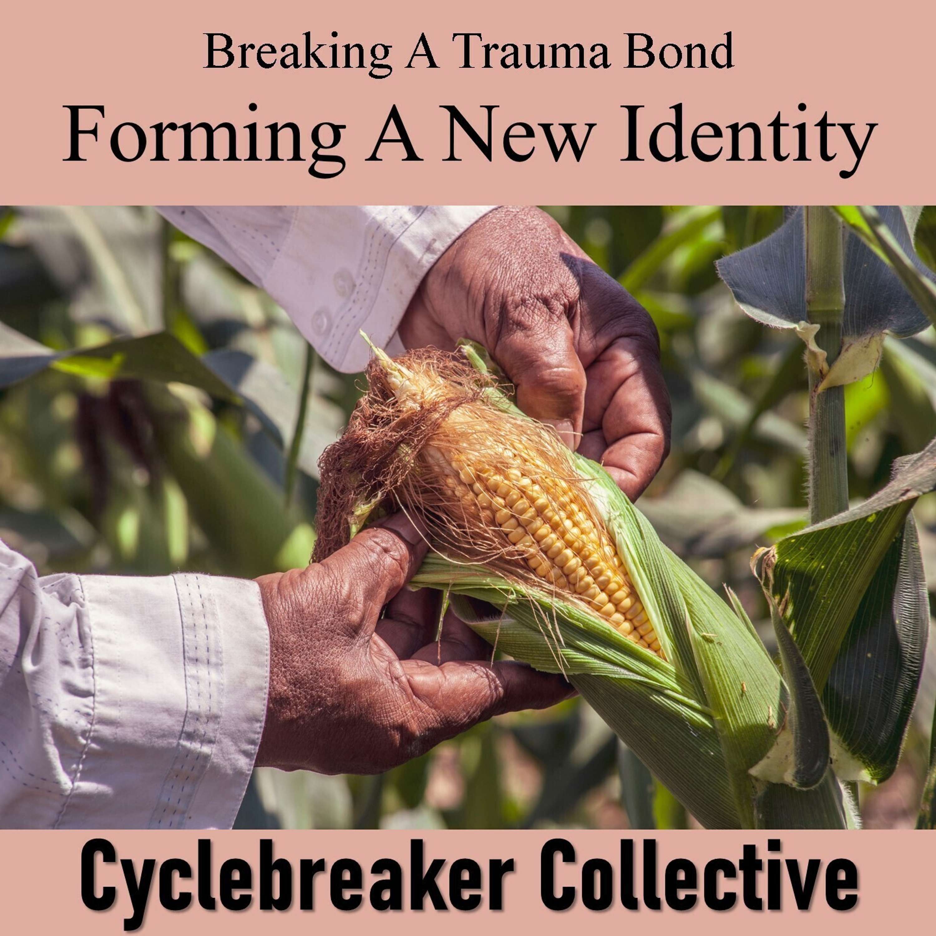 Trigger Proof Transmissions (Cyclebreaker Collective)