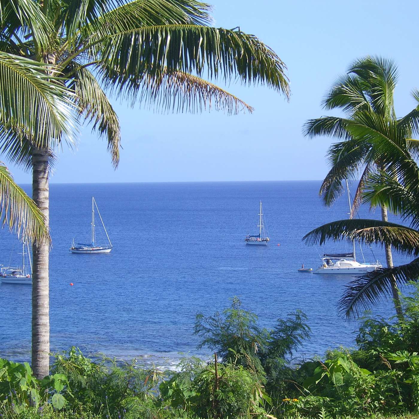 Turning Your Cruising Dreams Into Reality