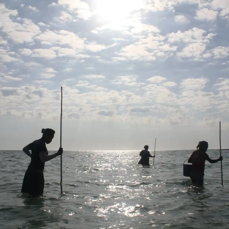 Are Madagascar’s Marine Biodiversity Programs Working?