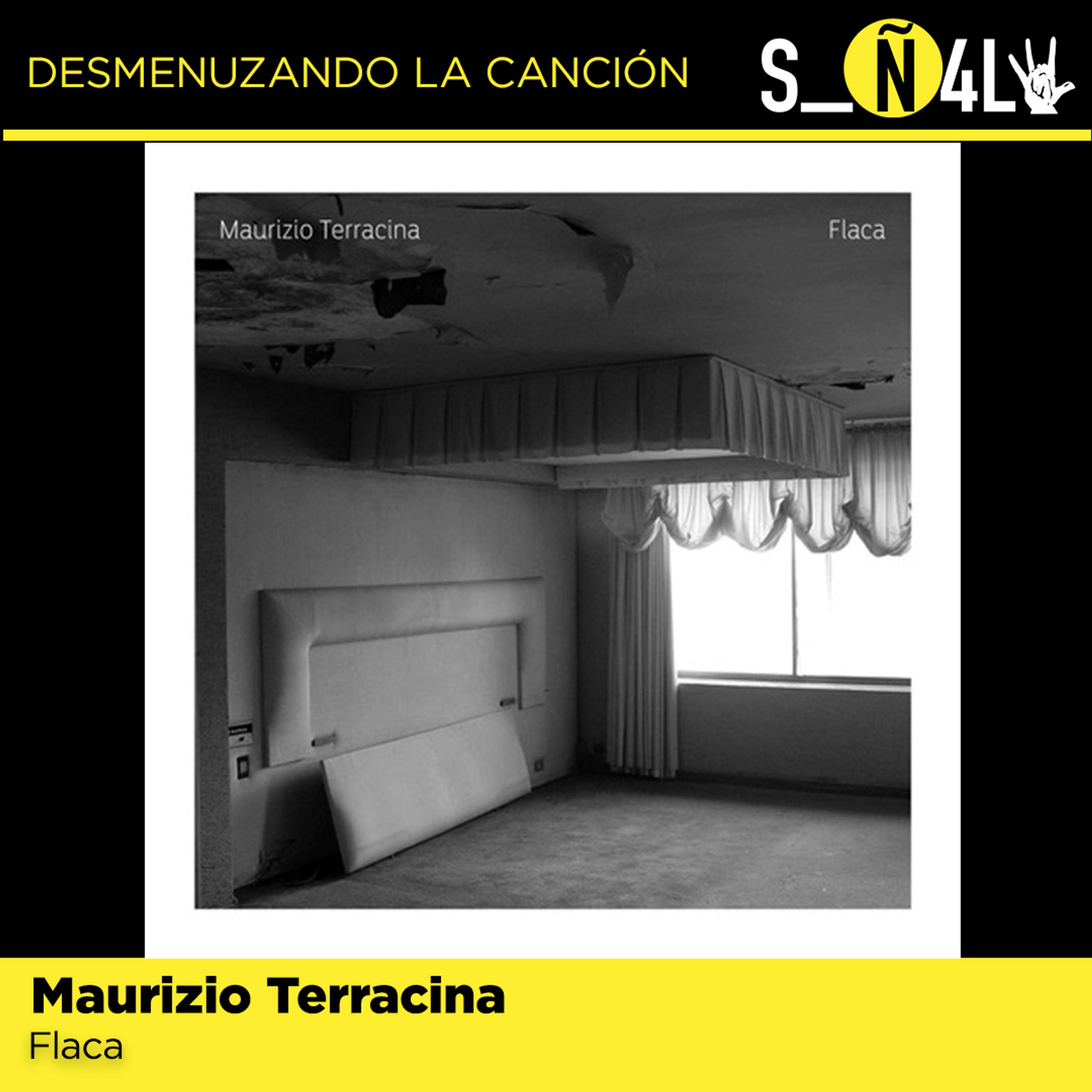 Señal VL: Desmenuzando la canción