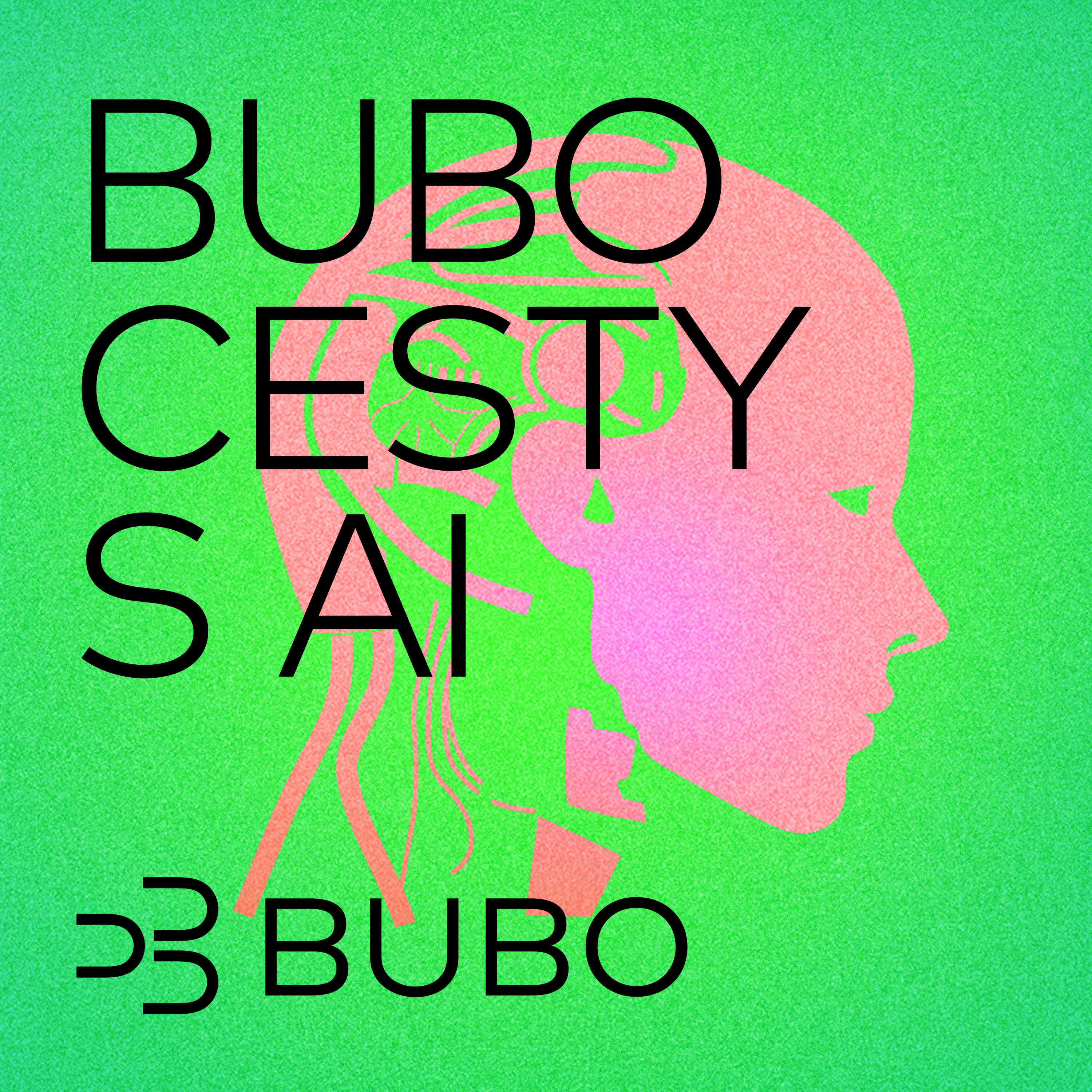 BUBO cesty s AI