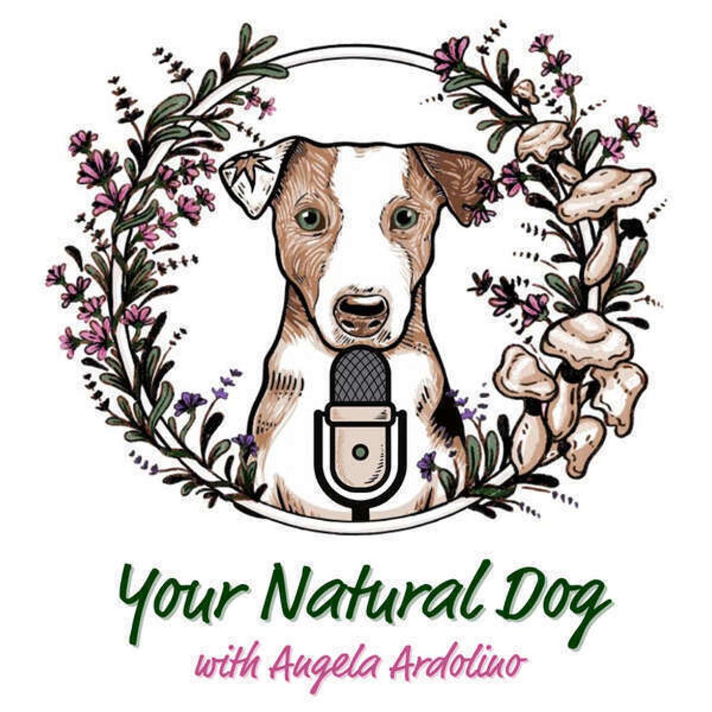 Your Natural Dog with Angela Ardolino - Formerly It\'s A Dog\'s Life