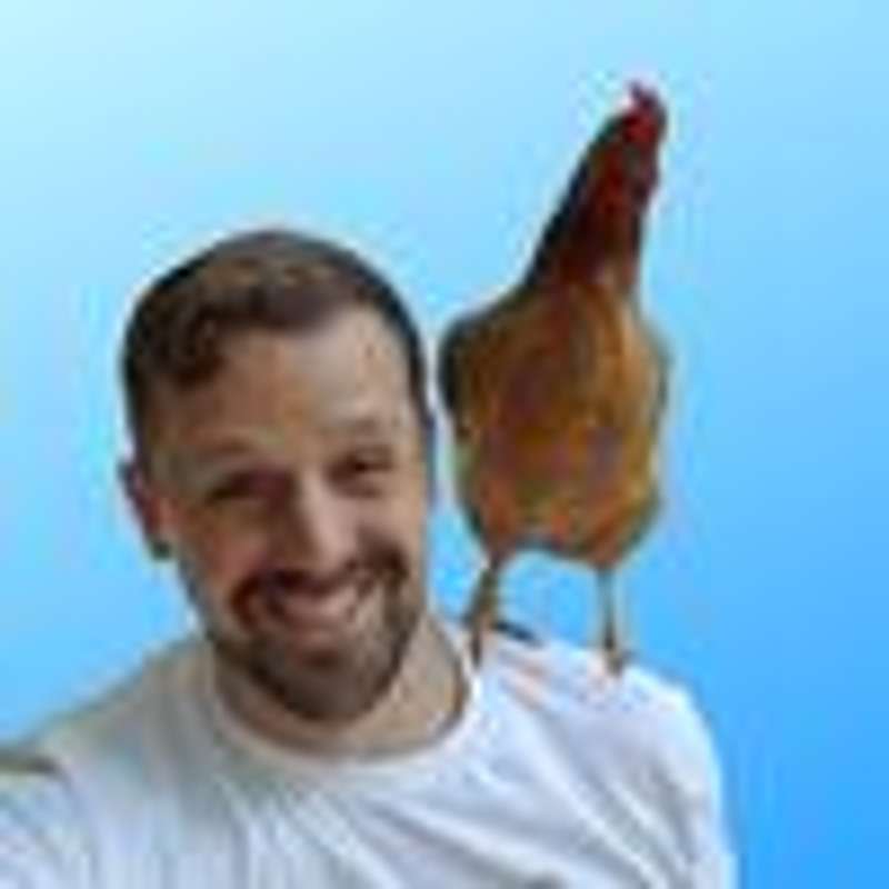 heath of City Chick Atl