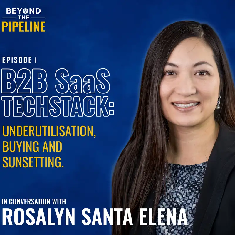 B2B SaaS Techstack: Underutilization, Buying and Sunsetting with Rosalyn Santa Elena