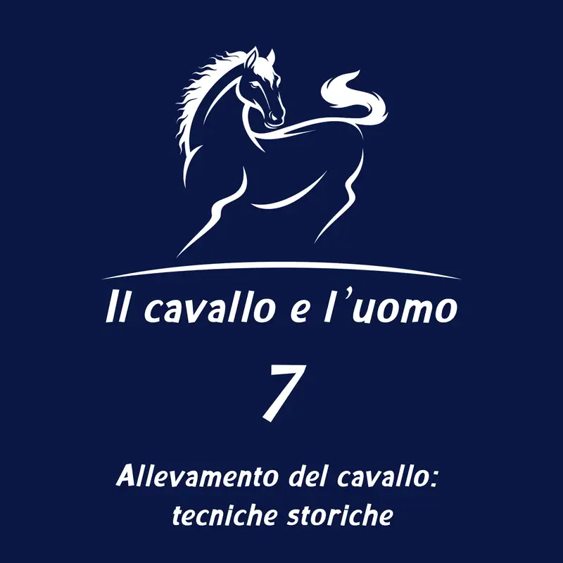 Allevamento del cavallo: tecniche storiche