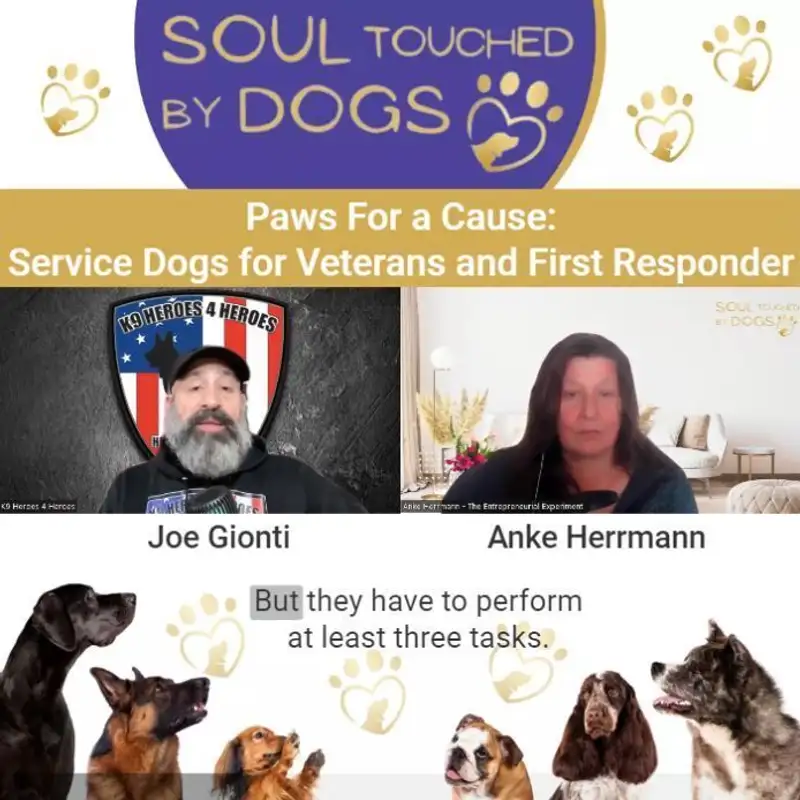 Joe Gionti - Paws For a Cause: Service Dogs for Veterans and First Responders