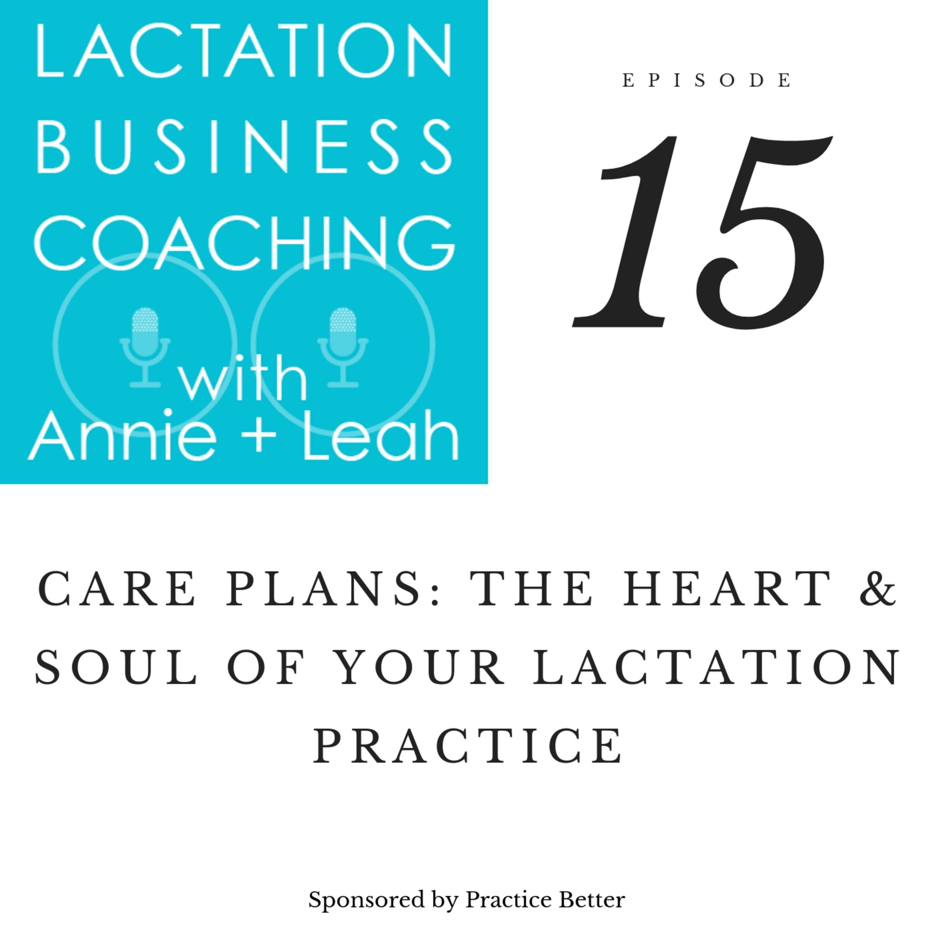 15 | Care Plans Can Be the Heart and Soul of Your Lactation Private Practice