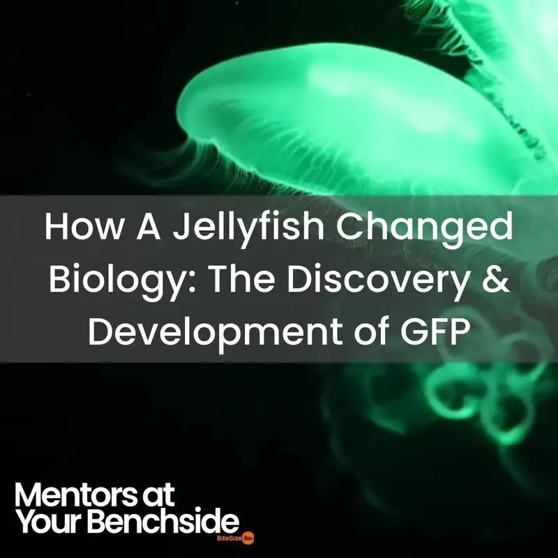 How a Jellyfish Changed Biology: the Discovery and Development of GFP