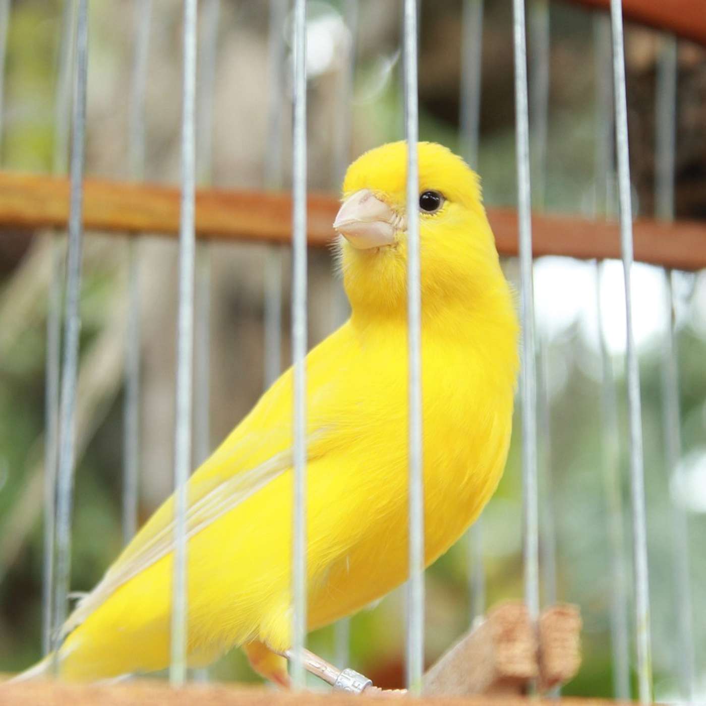 Programming Tech Brief By HackerNoon