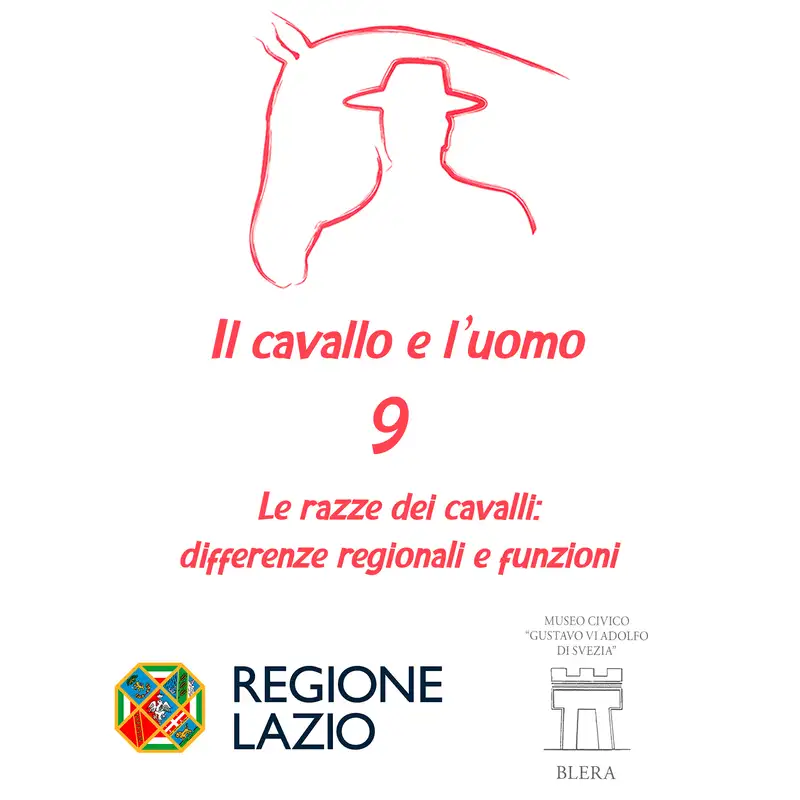 Le razze dei cavalli: differenze regionali e funzioni