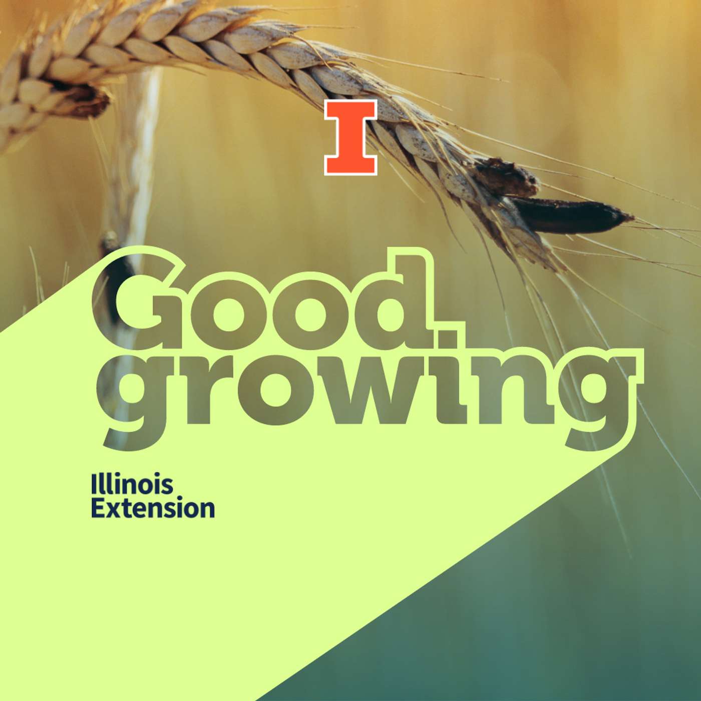 Good Growing