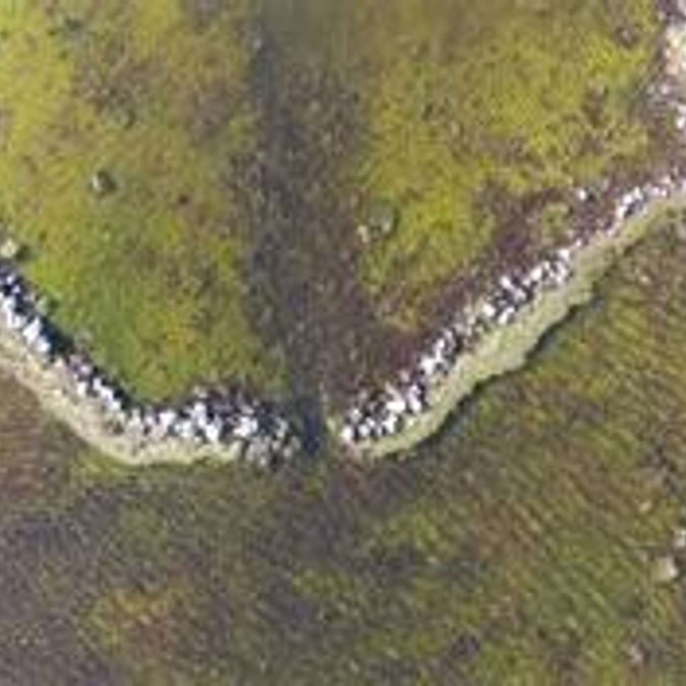 Ep 2. Beginnings: Denis Rose-The first Indigenous Ranger