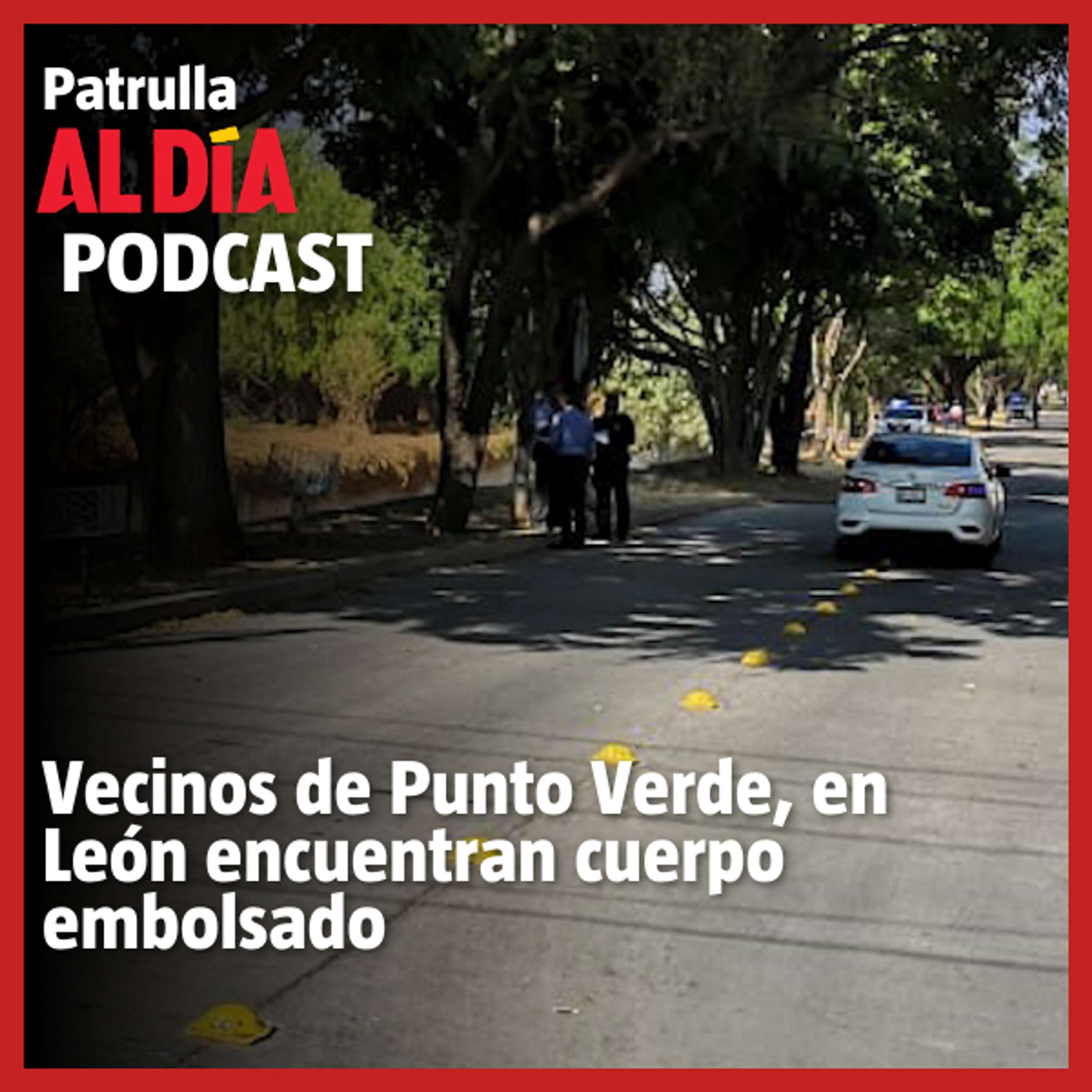 Patrulla Al Día