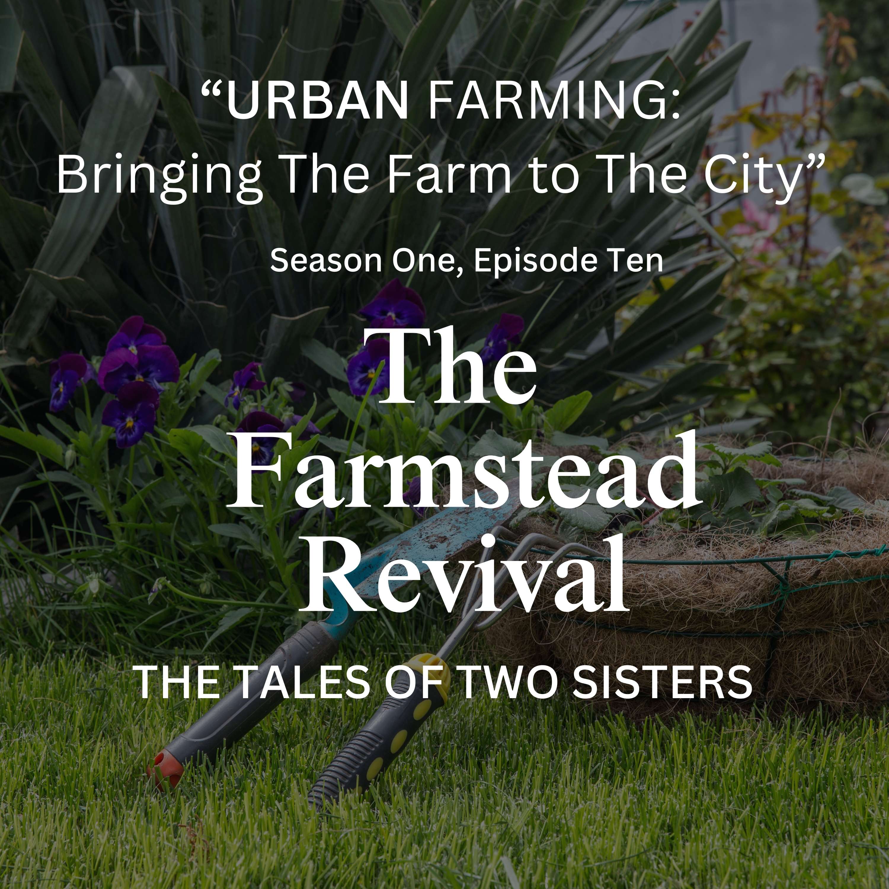 The Farmstead Revival: The Tales of Two Sisters