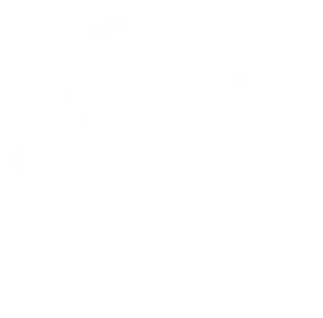 Youth Quake