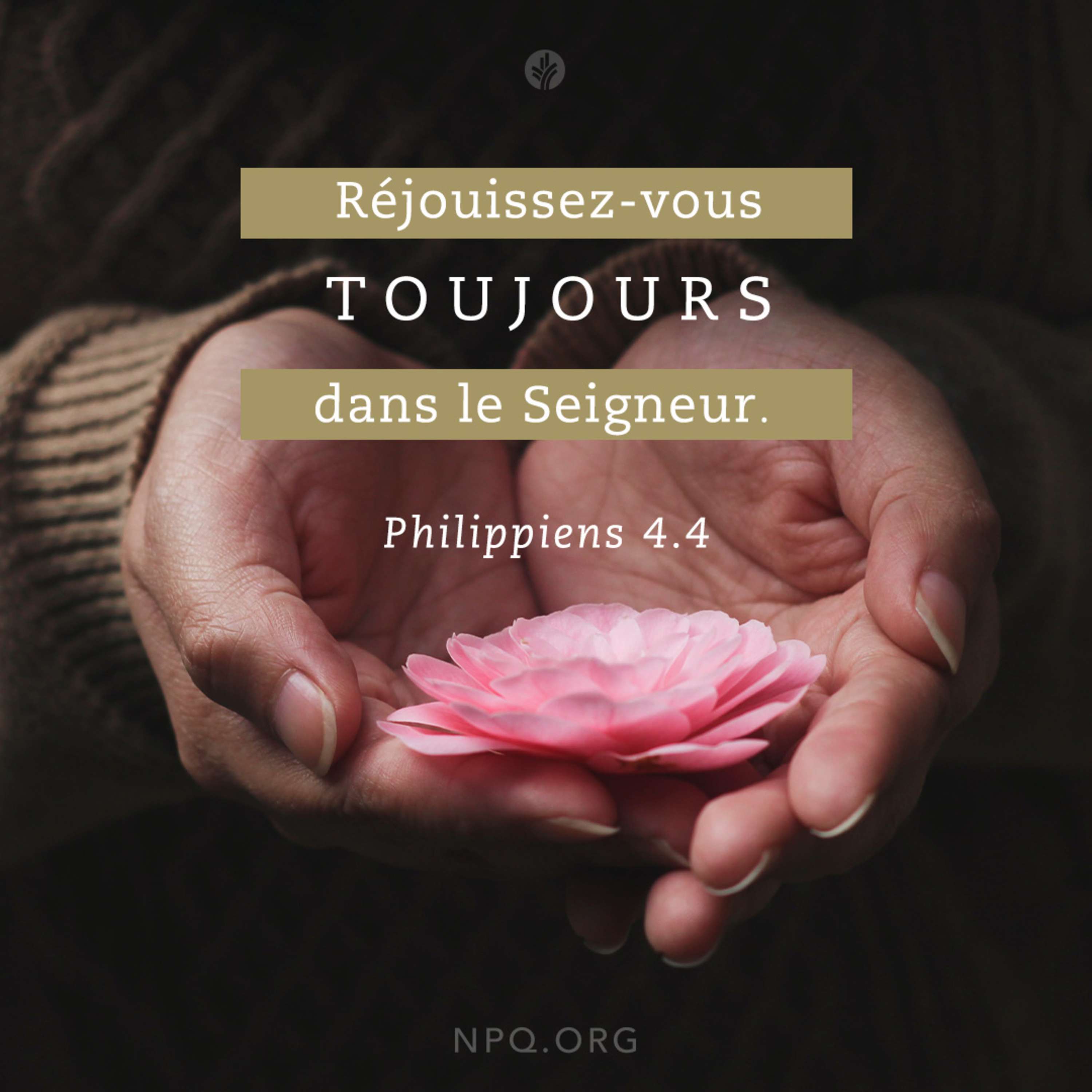 Notre Pain Quotidien podcast