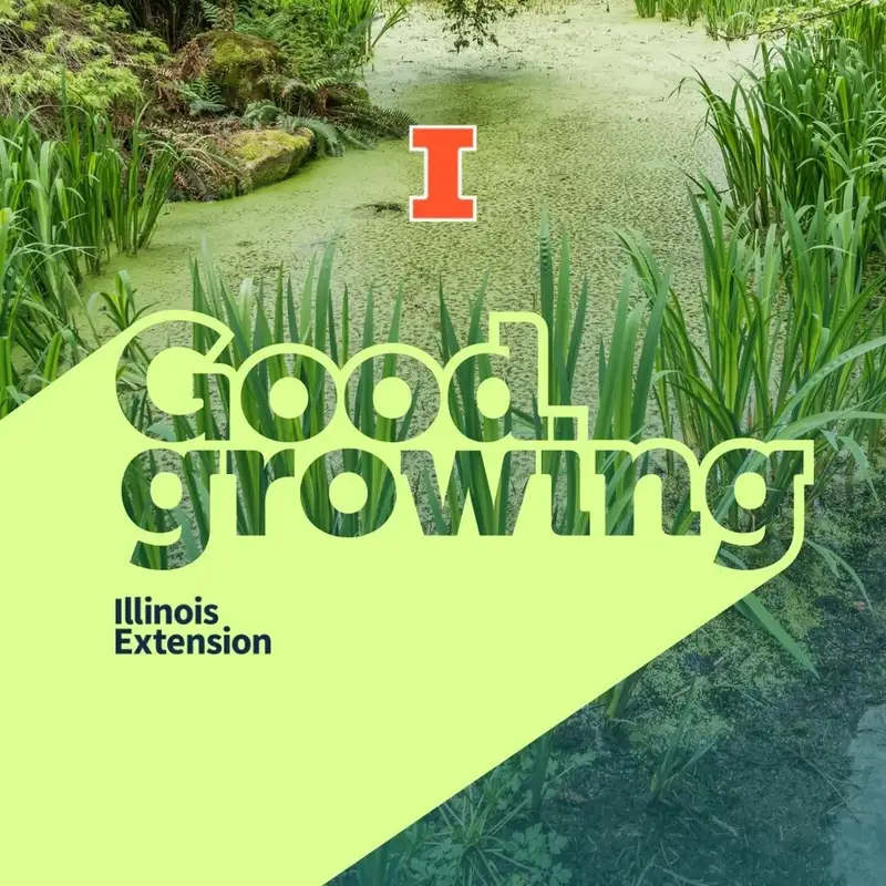 Ep. 76 Algae blooms, pond weeds, and more with Duane Friend #GoodGrowing