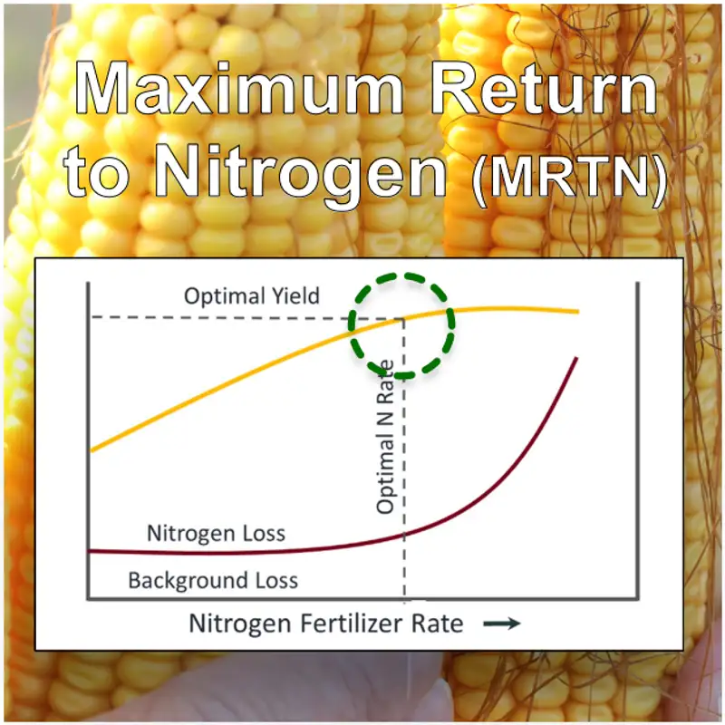 Updated corn nitrogen rates: Regional differences, profit vs yield, water quality & more