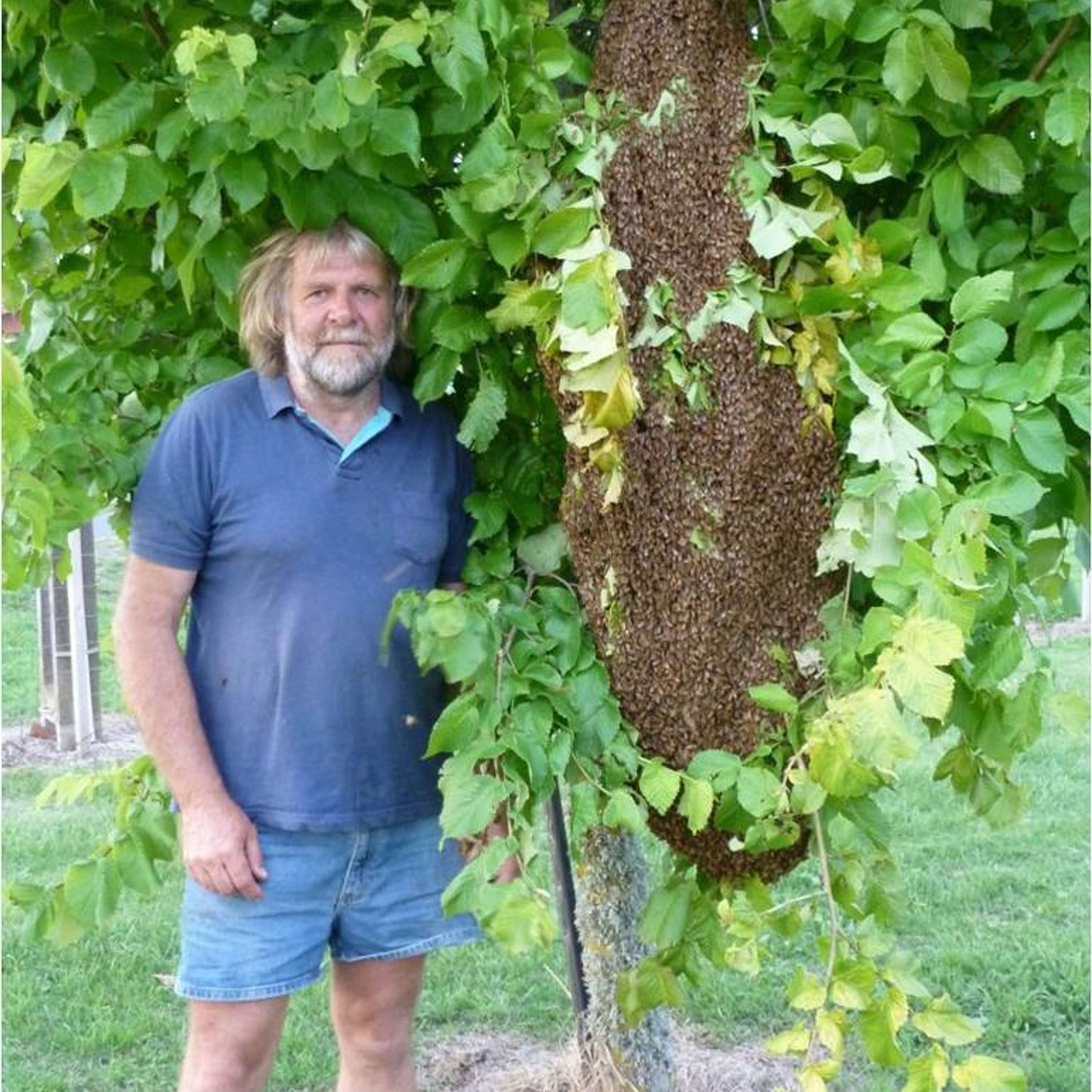 Breeding the Honeybee