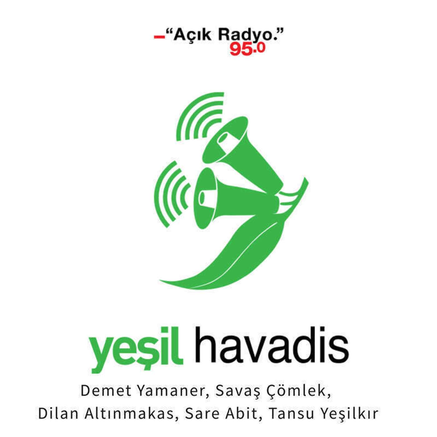 Dayanaklı kentler ve afet episode artwork