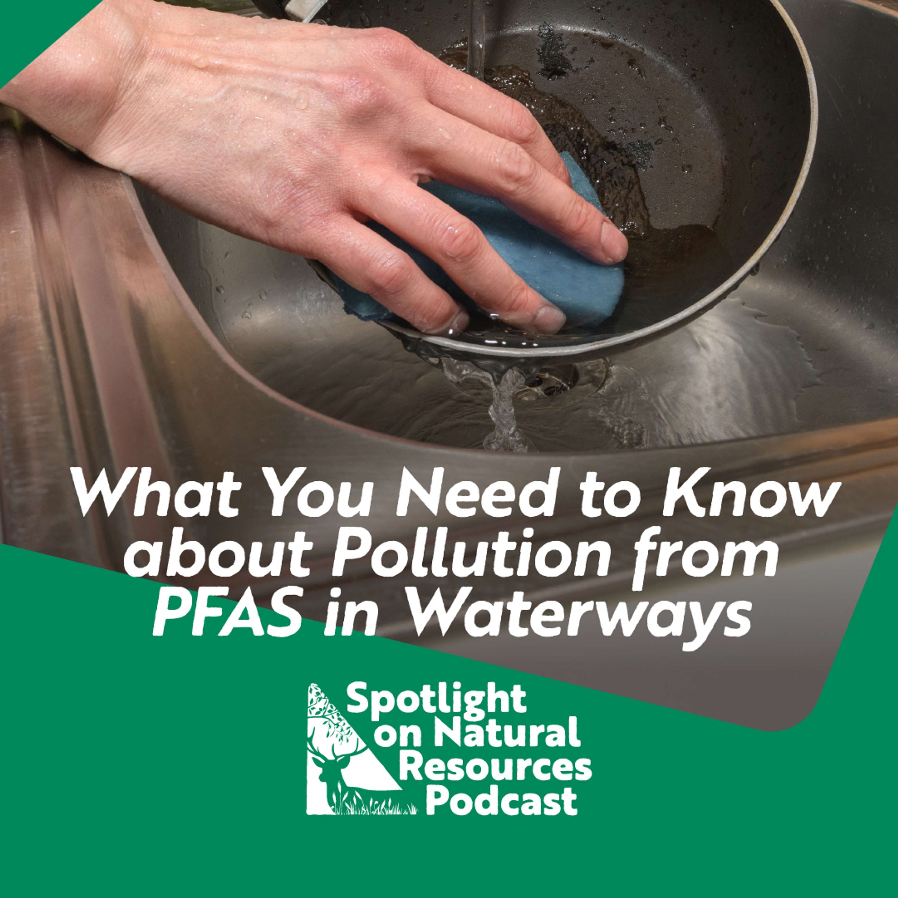 Everyday Environment Podcast