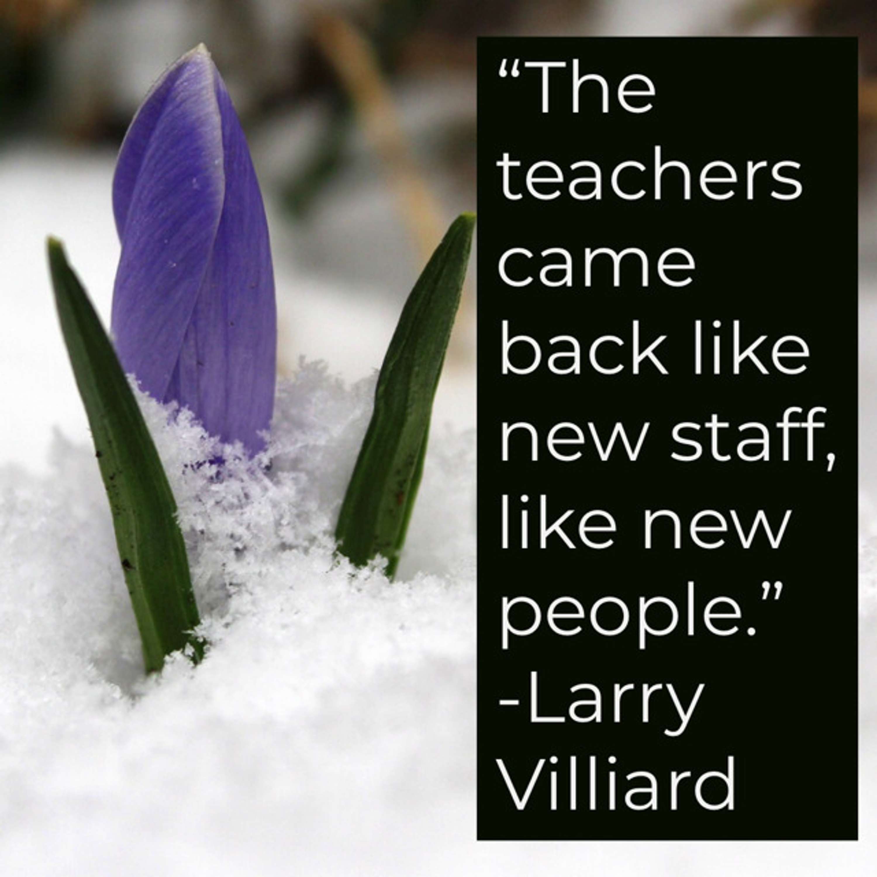Transformative Principal