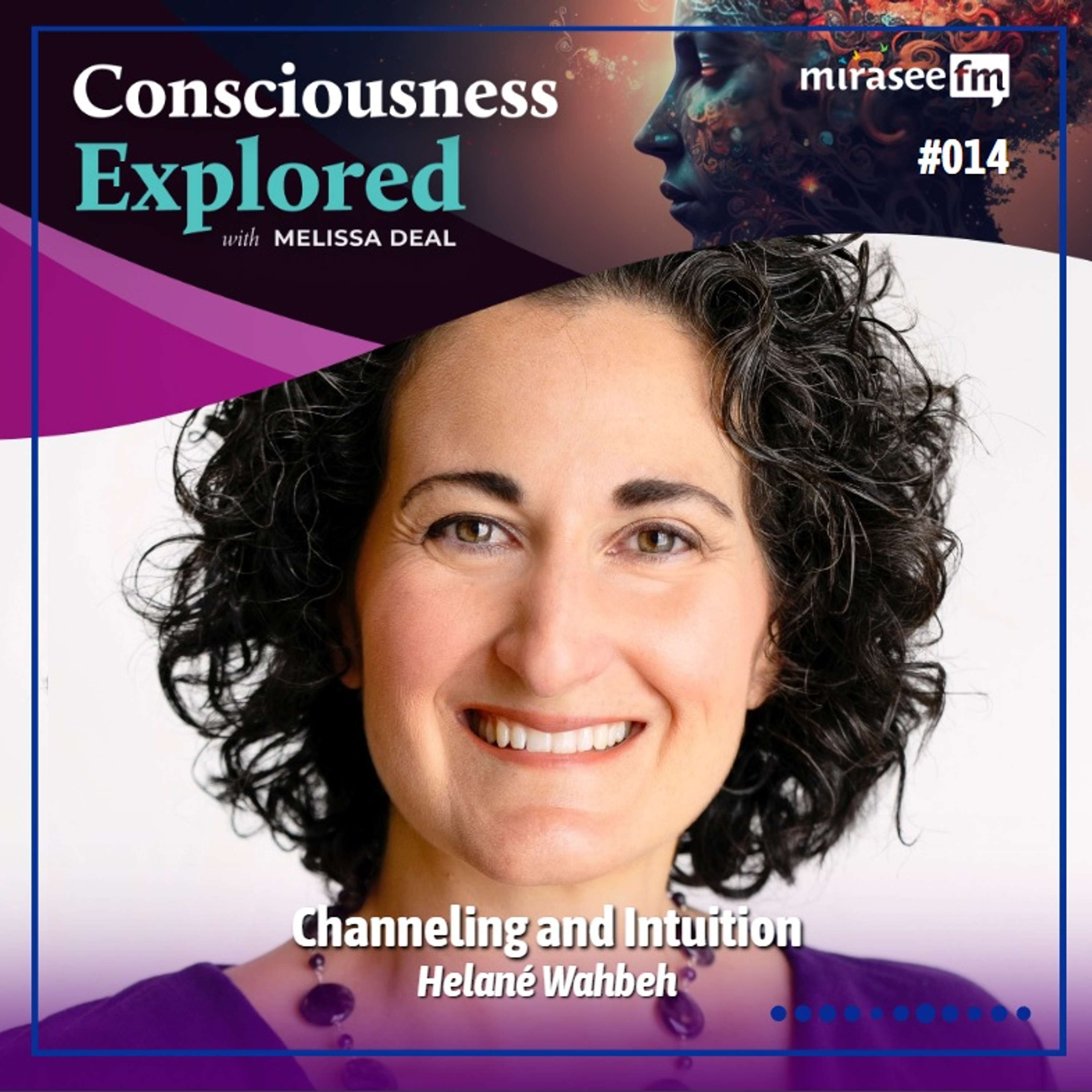 Consciousness Explored